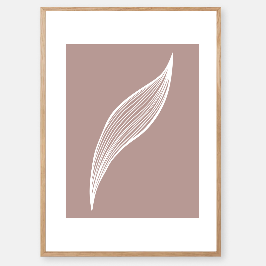 סט תמונות דגם MIJA