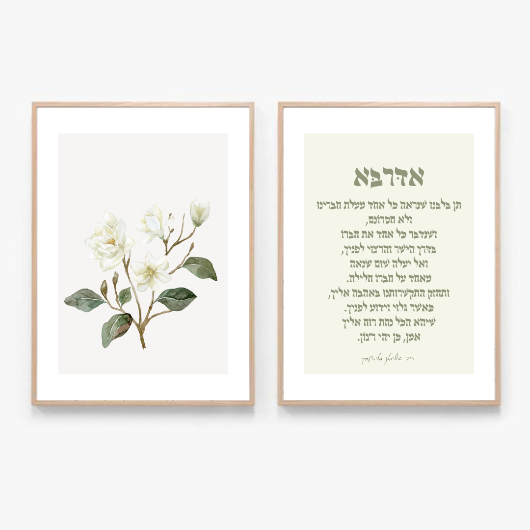 סט תמונות דגם אדרבא