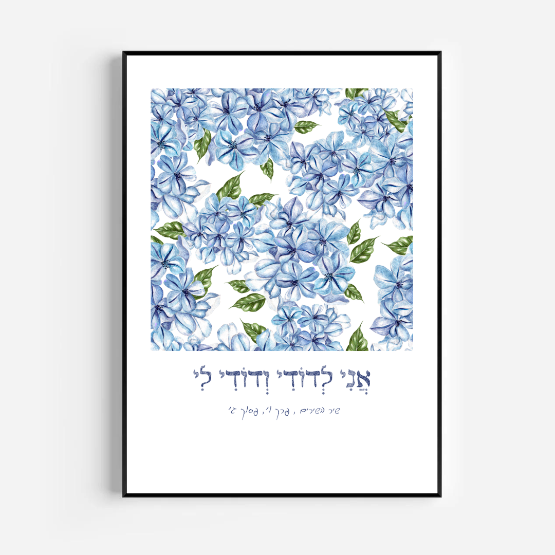 דגם אני לדודי ודודי לי