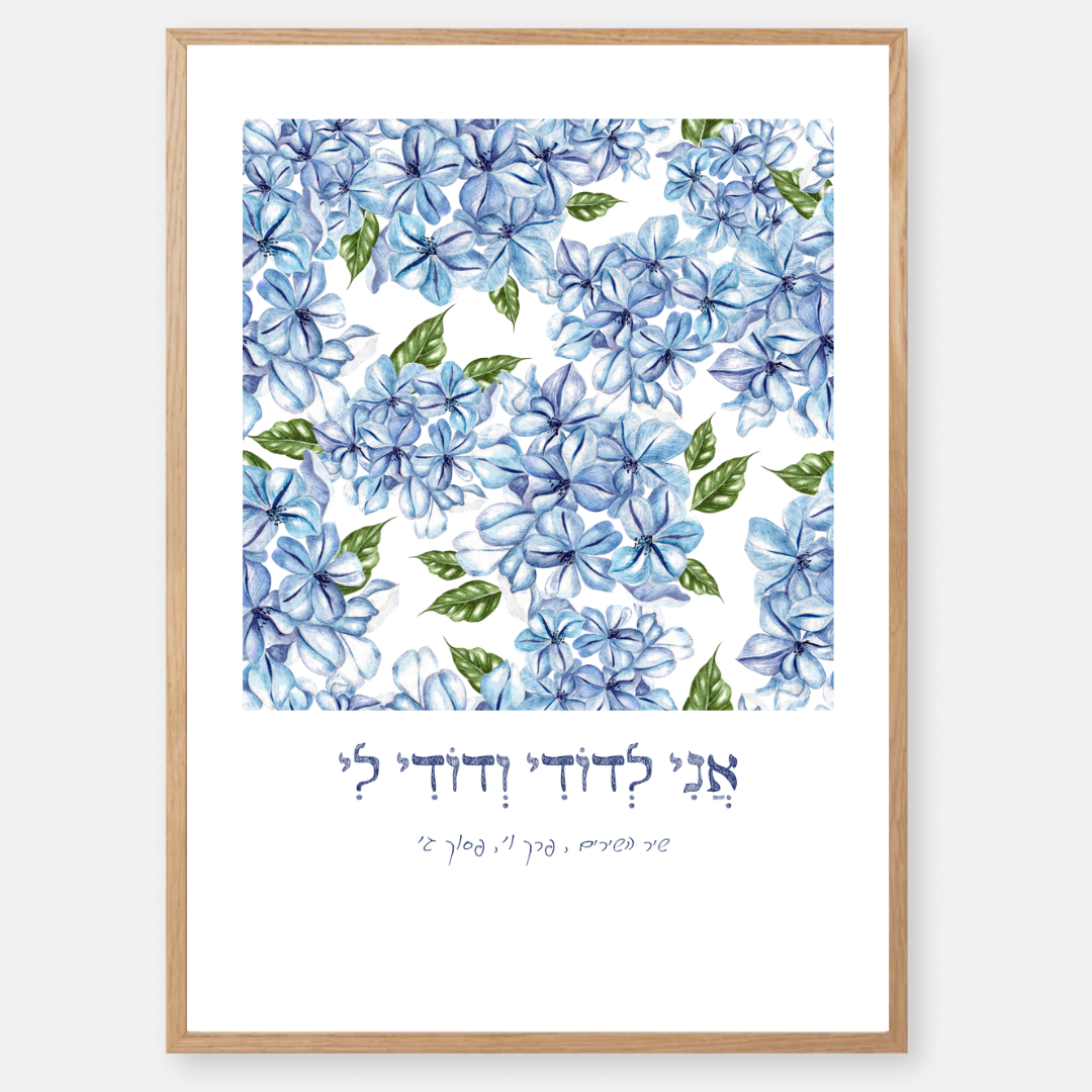 דגם אני לדודי ודודי לי