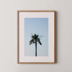 Palm Above – צילום מינימליסטי של עץ דקל בודד על רקע שמיים כחולים בהירים במסגרת עץ אלון טבעי.