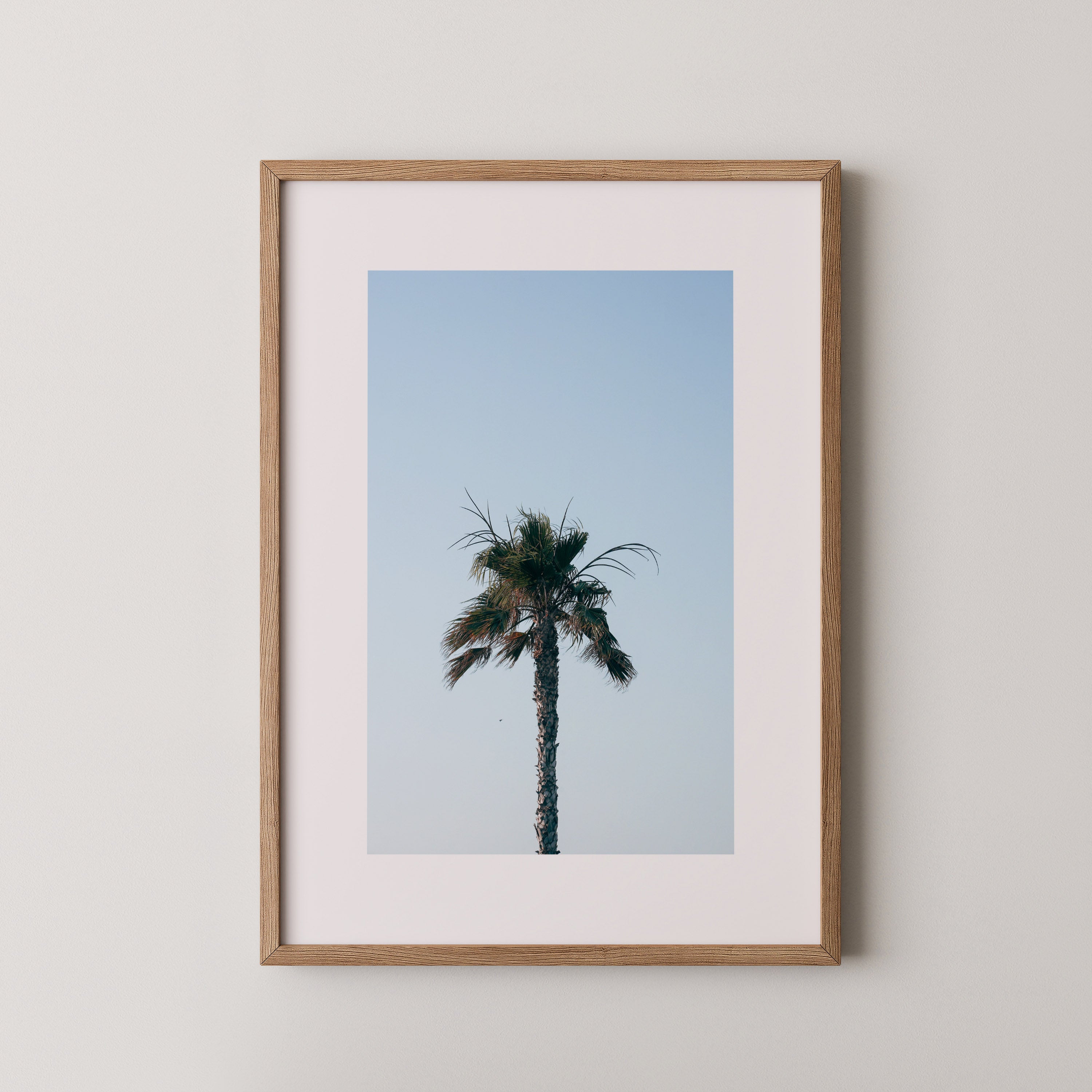 Palm Above – צילום מינימליסטי של עץ דקל בודד על רקע שמיים כחולים בהירים במסגרת עץ אלון טבעי.