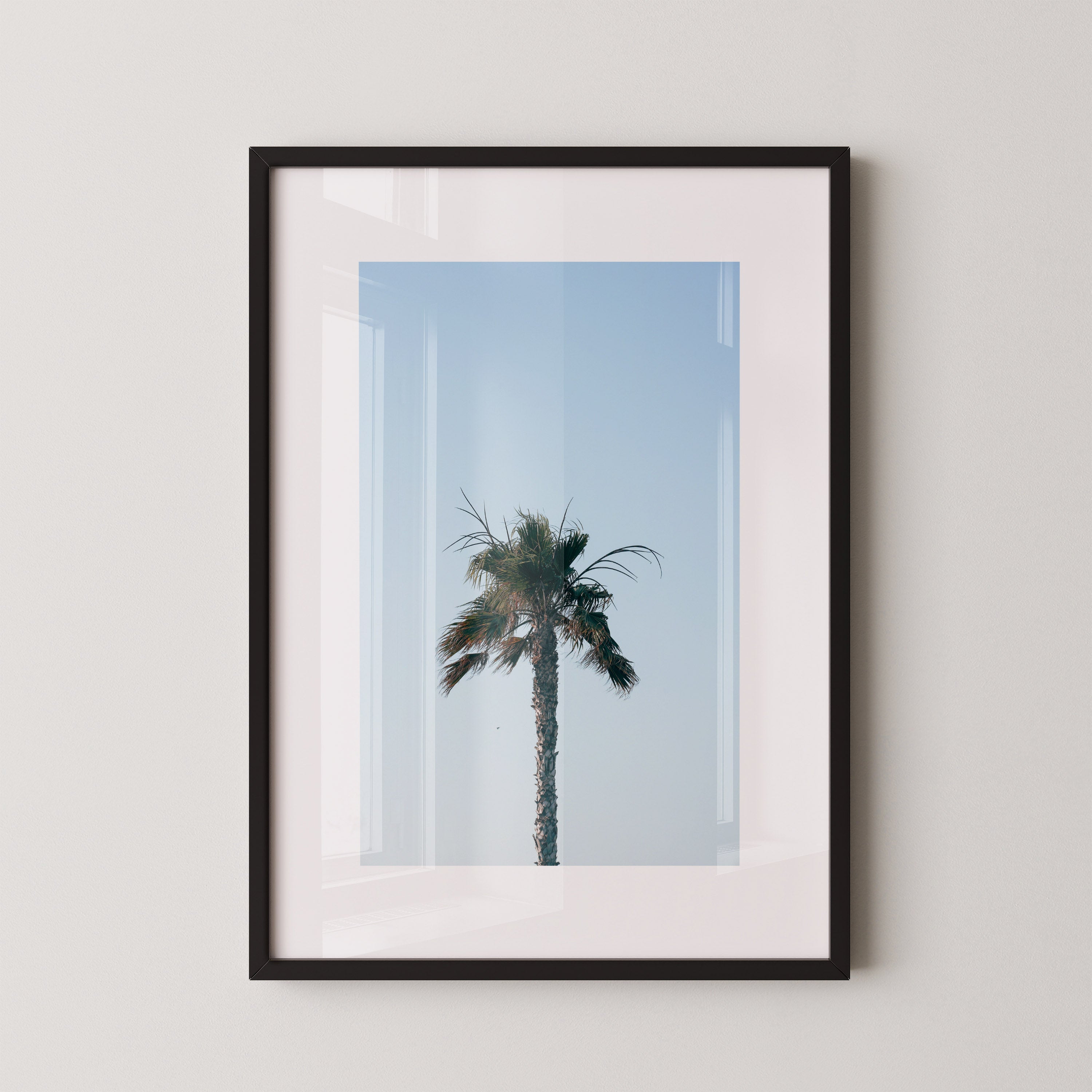 Palm Above | Daniel Barlot