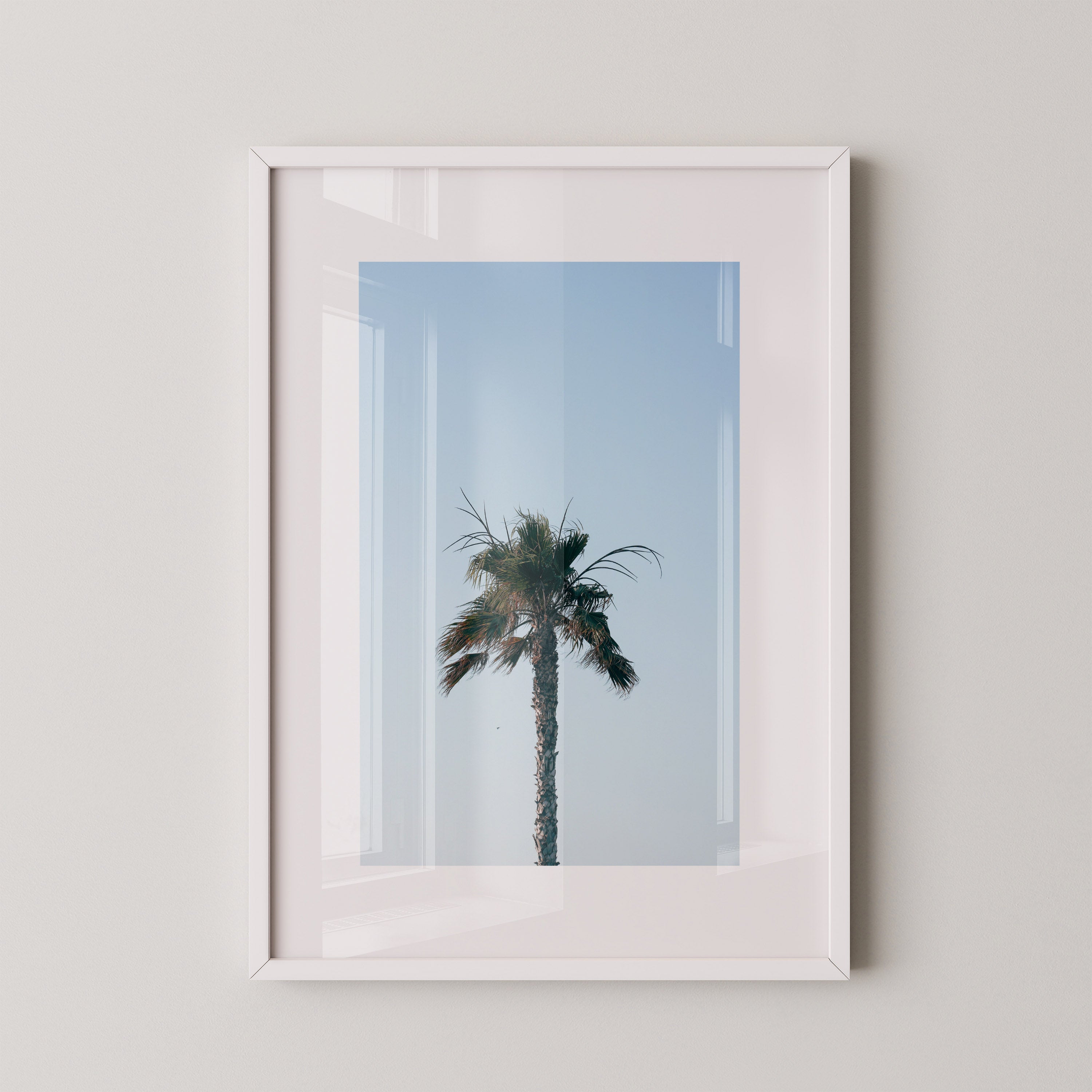 Palm Above | Daniel Barlot
