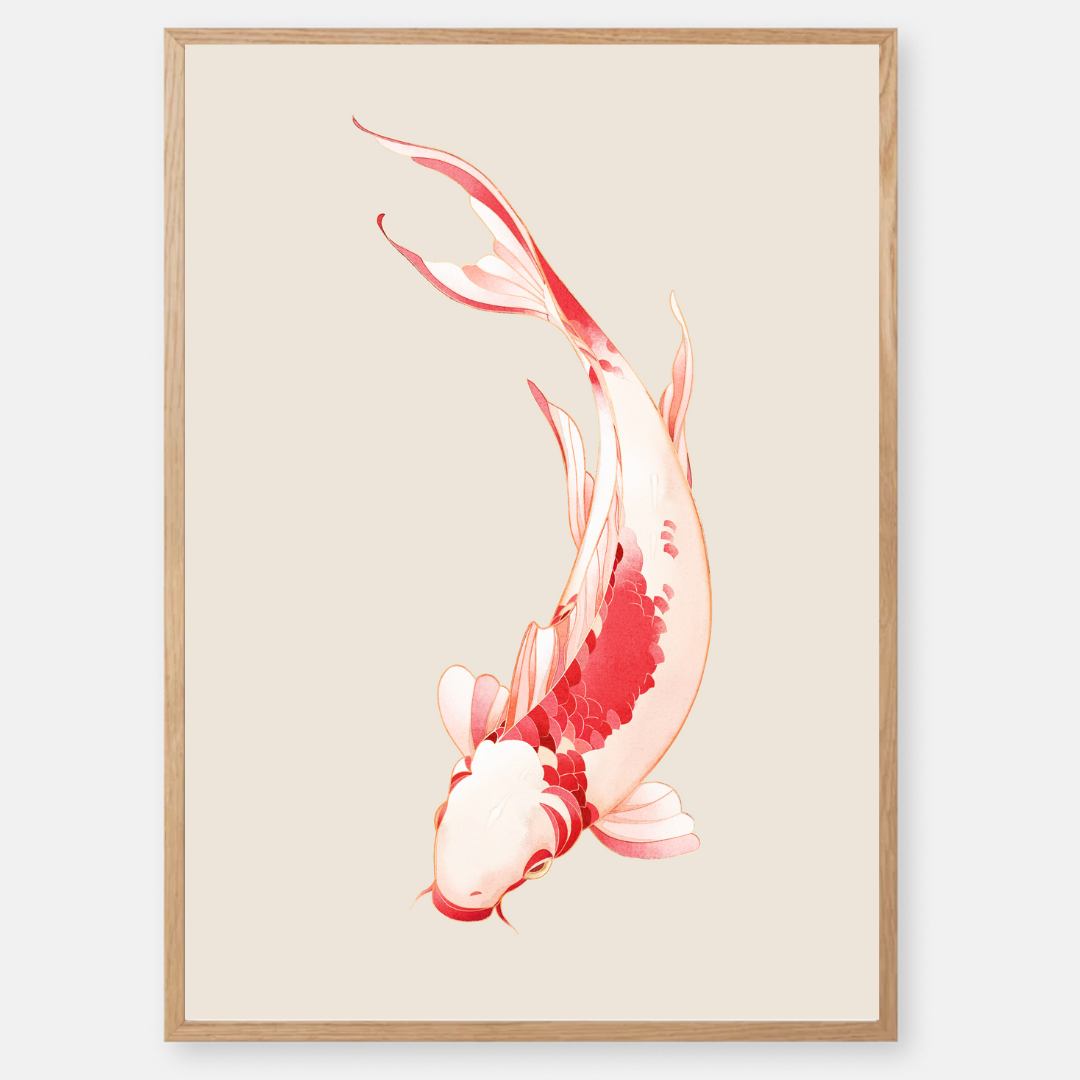 Koi model image