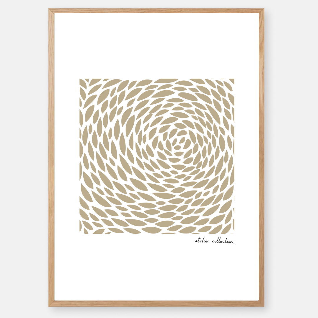 תמונה דגם קאיו 2