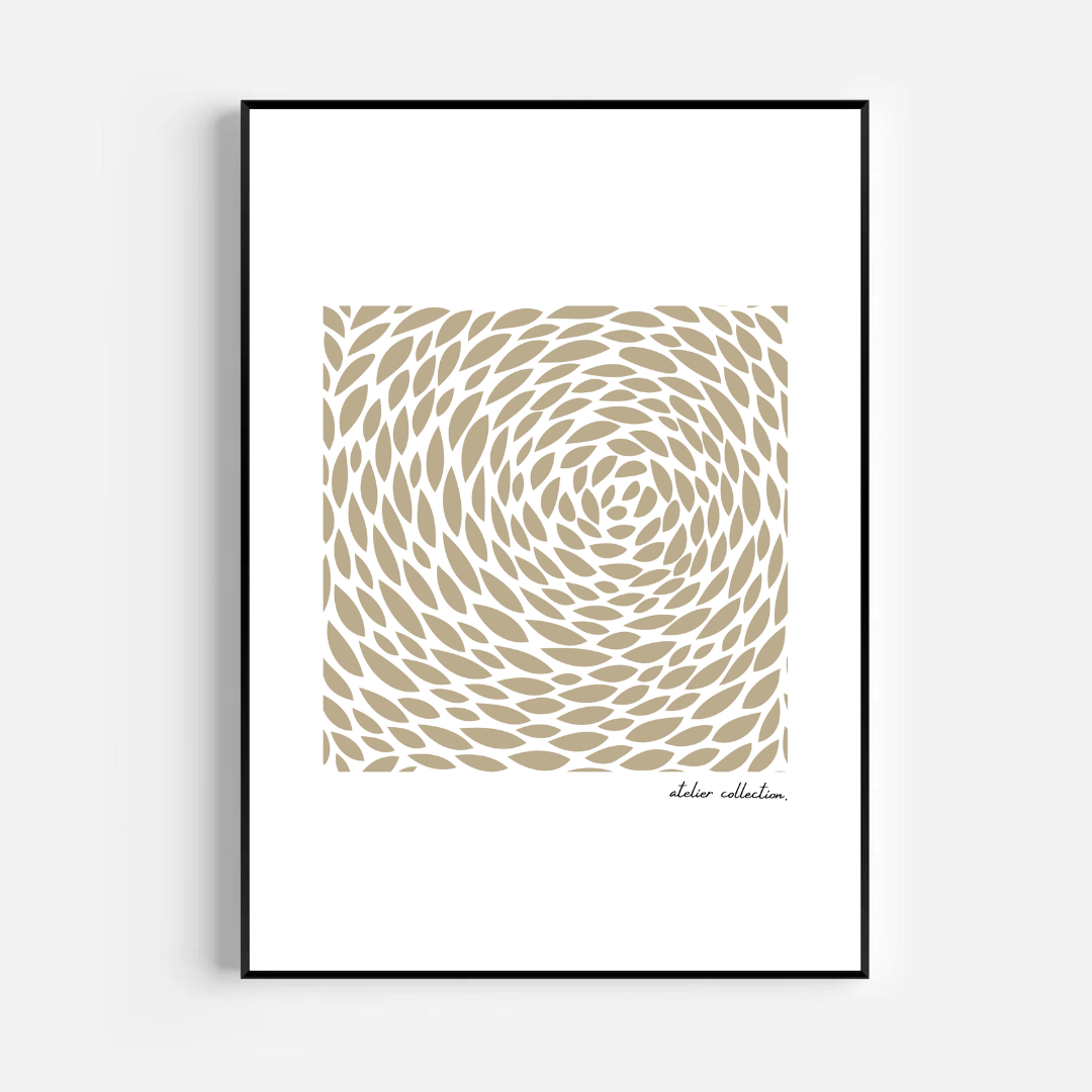 תמונה דגם קאיו 2