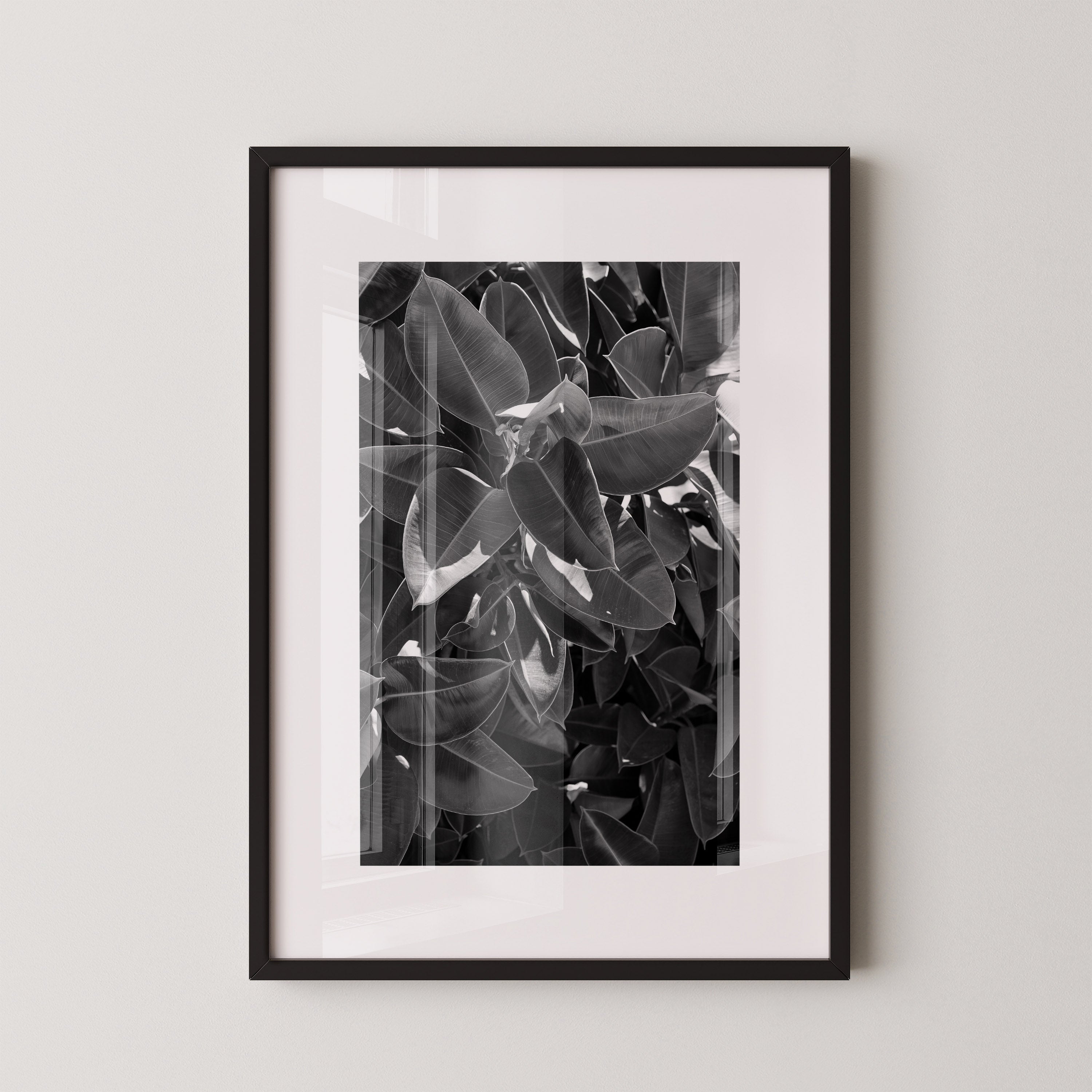 Veil of Leaves | Daniel Barlot
