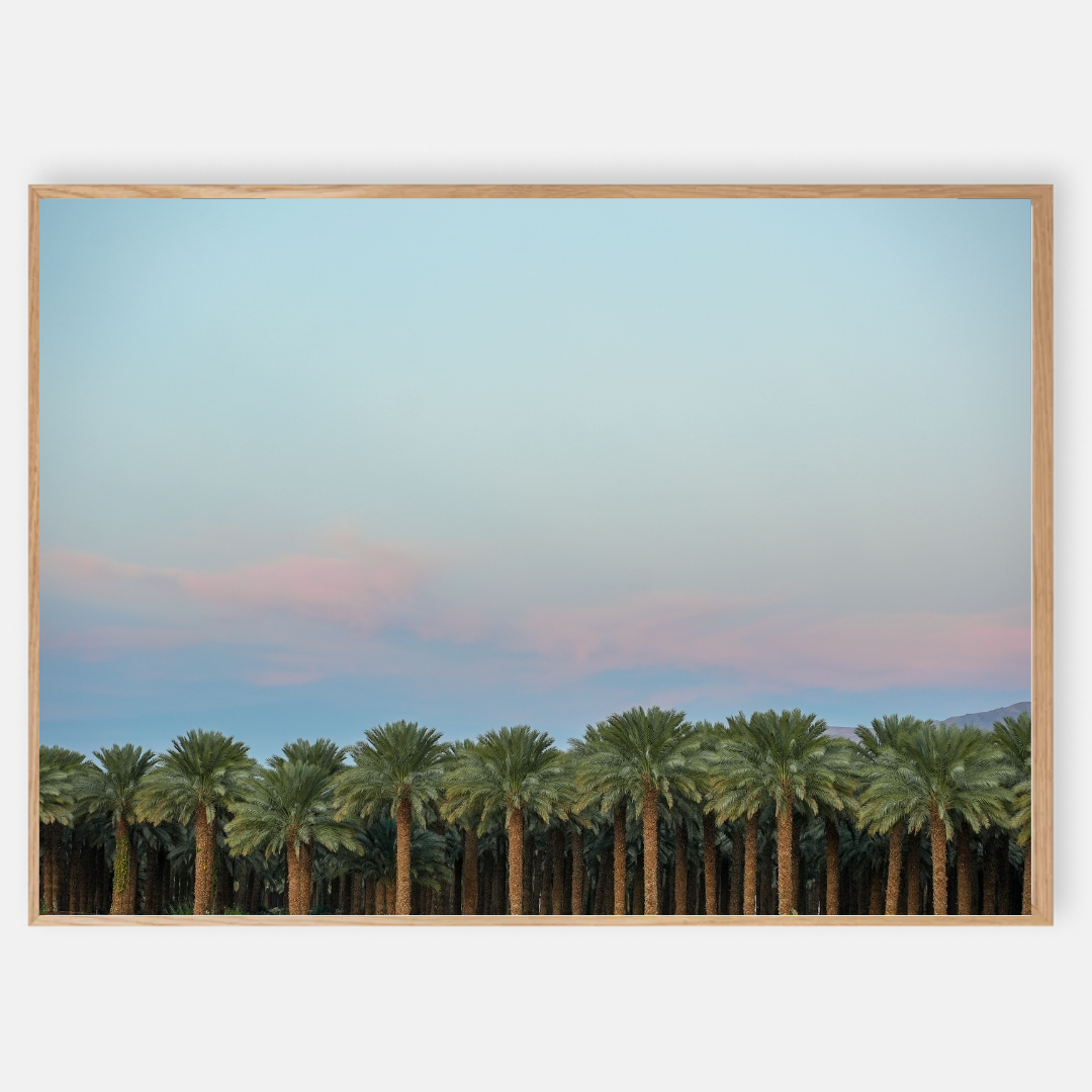 Photo of The left handed - Model i-1