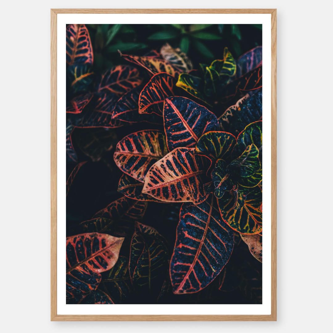 תמונה דגם Art 103