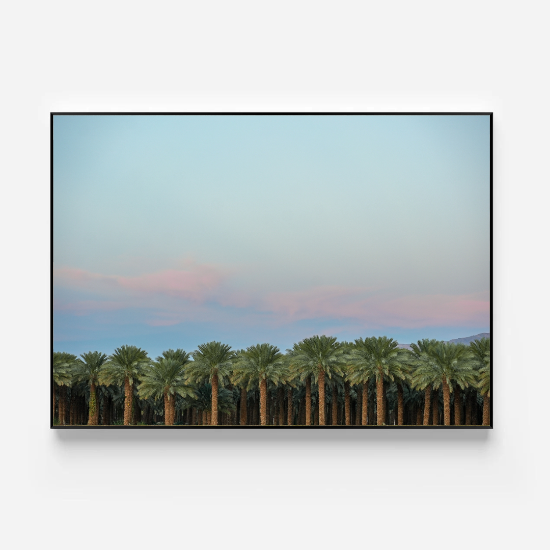 Photo of The left handed - Model i-1