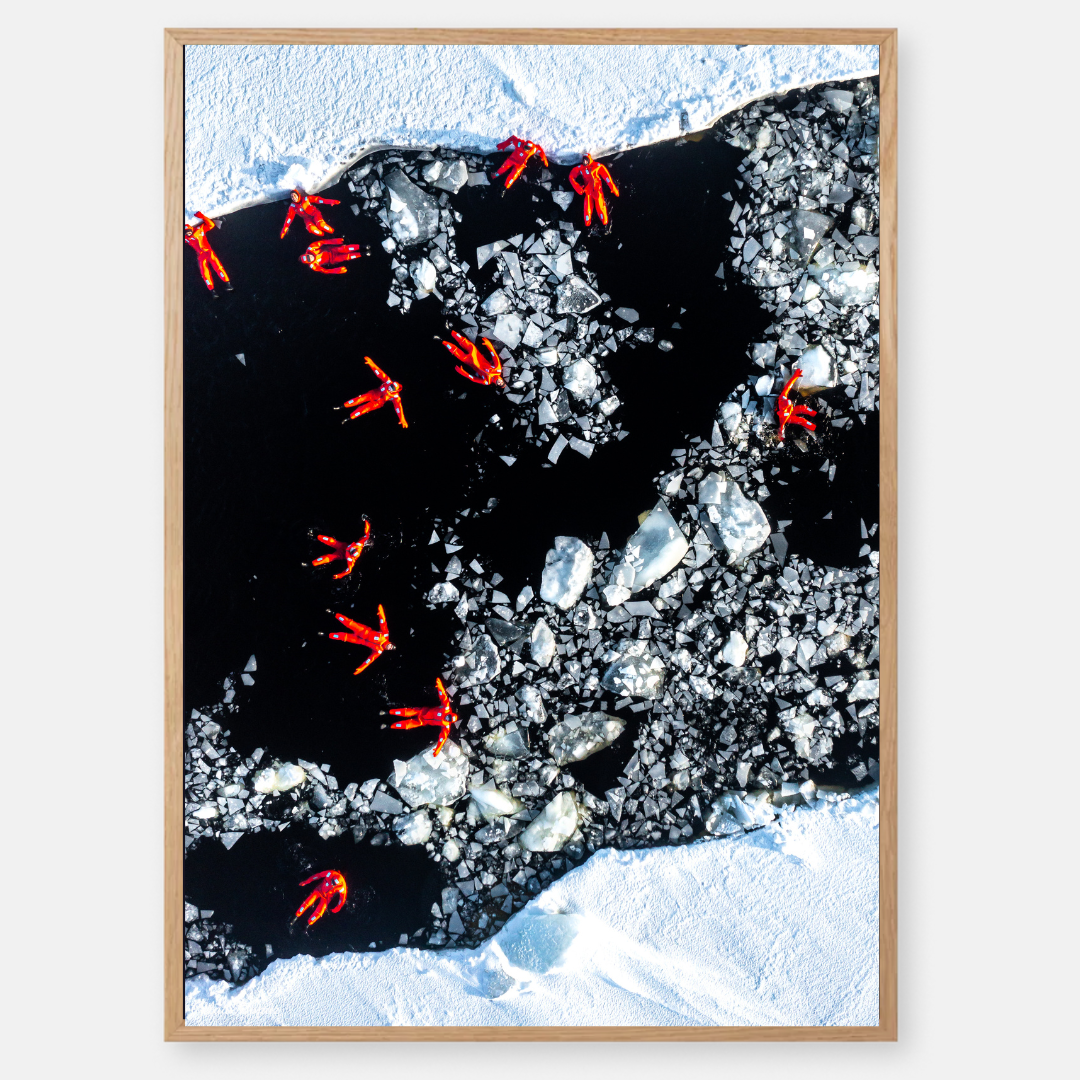 שחיה בים קפוא שוודיה  - של האמן גלעד טופז