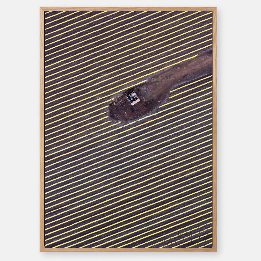 Watermelon Field - by artist Gilad Topaz