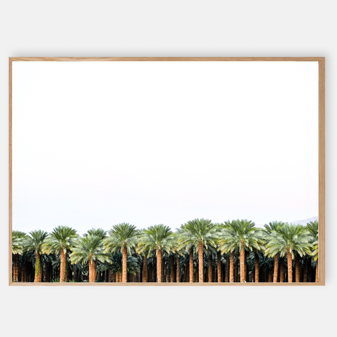 Photo of The left handed - Model i-2