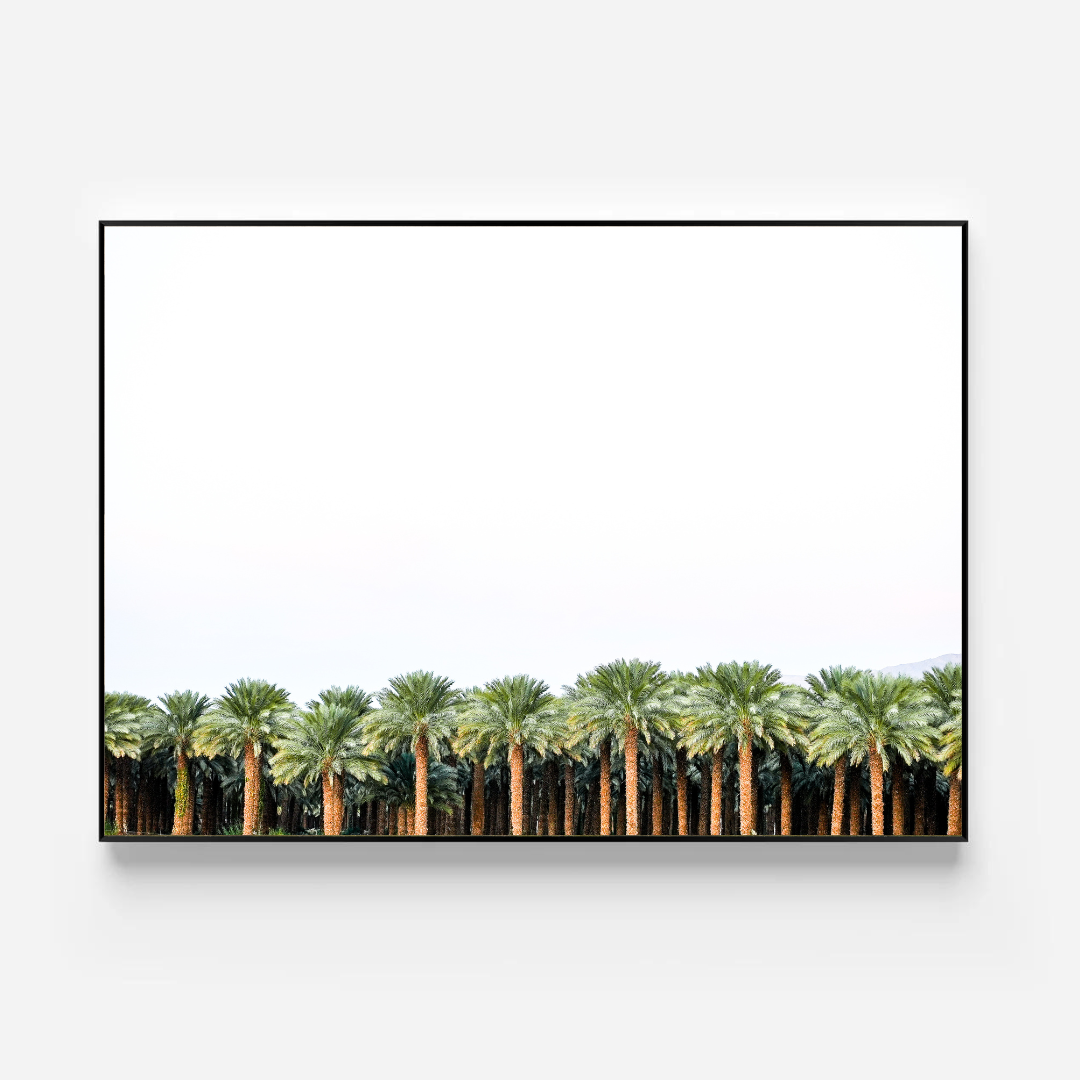 Photo of The left handed - Model i-2