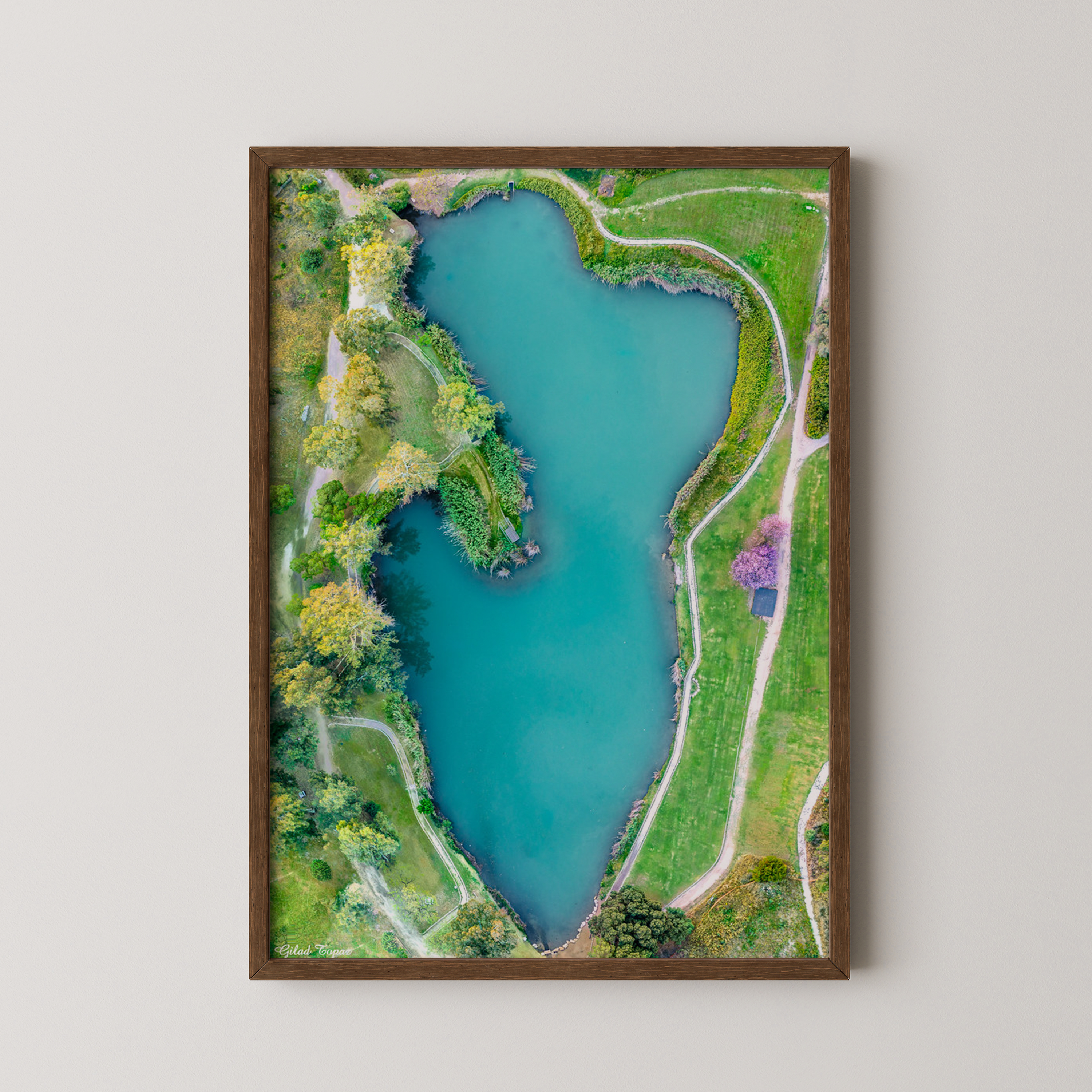 A Salty Touch - Aerial Photography by Shai Ashkenazi