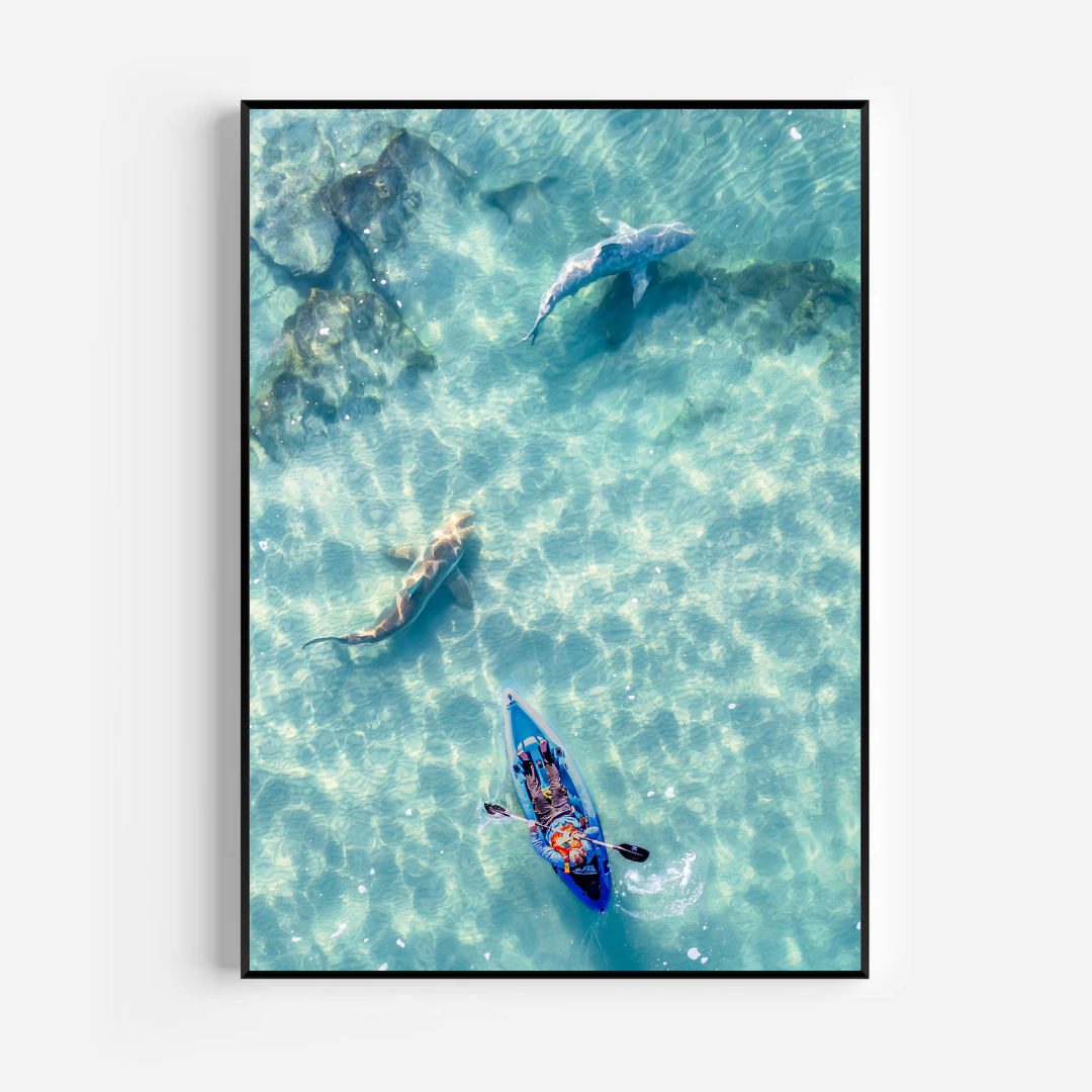Sharks of Hadera - by artist Gilad Topaz