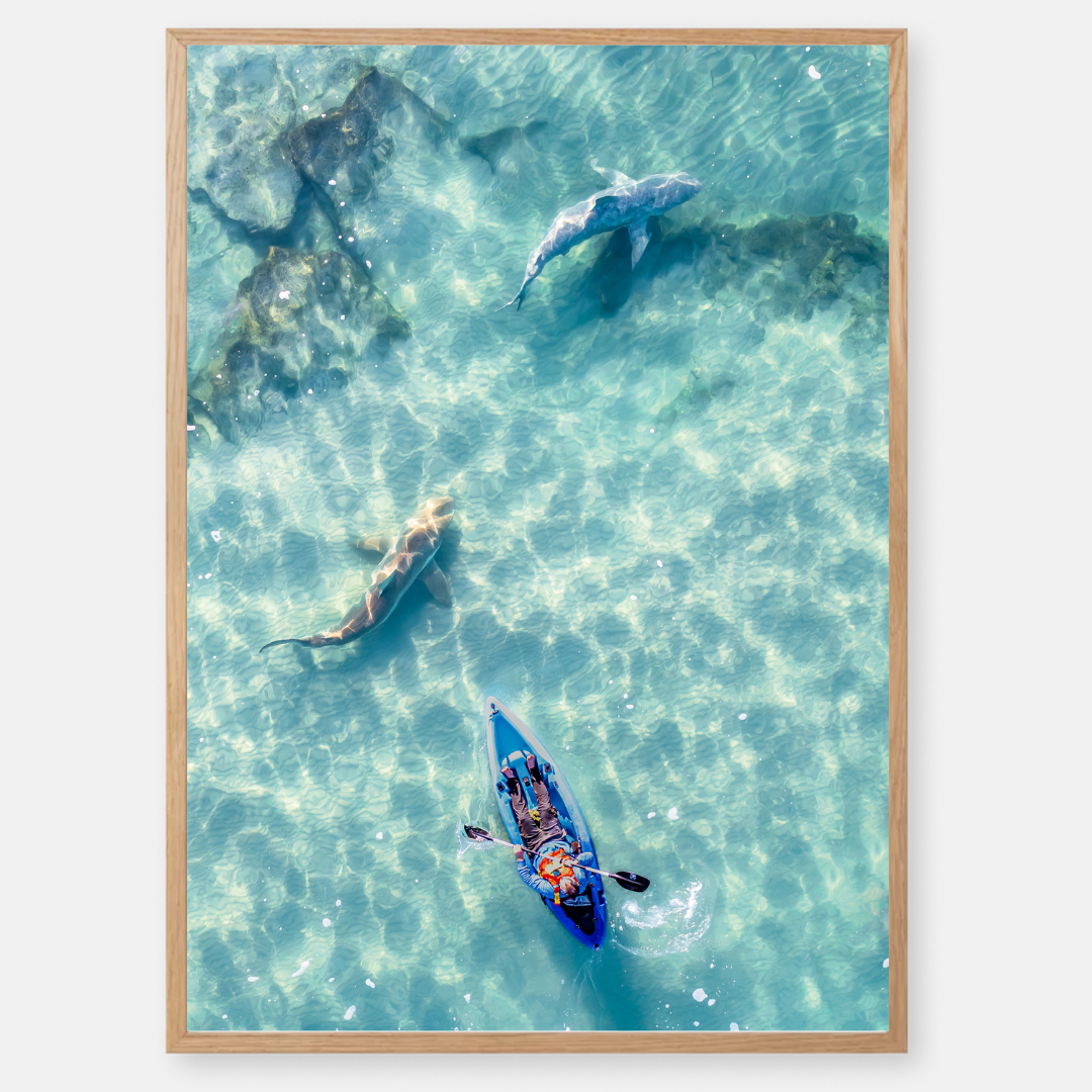 Sharks of Hadera - by artist Gilad Topaz