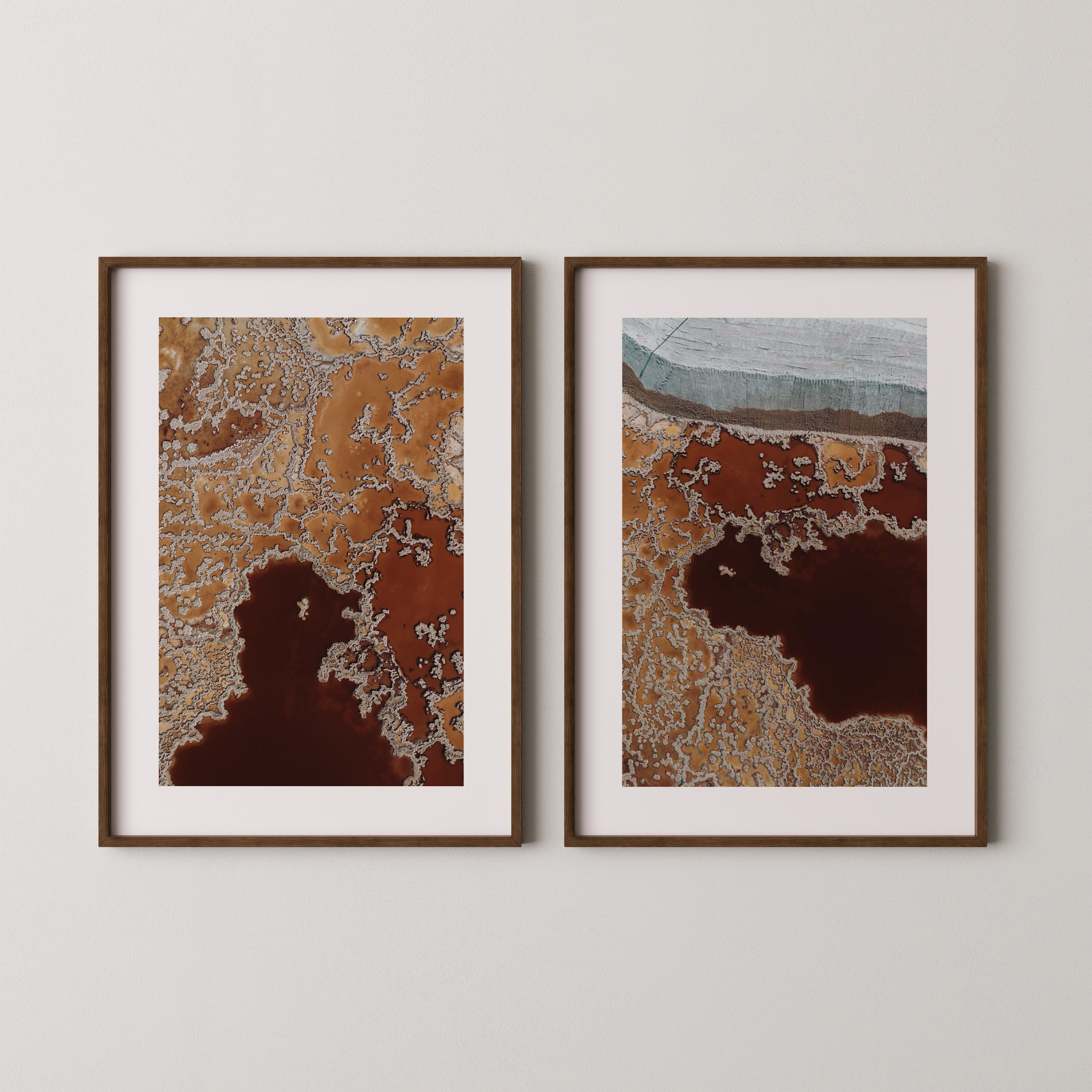 עור הארץ — צילום אווירי של שי אשכנזי