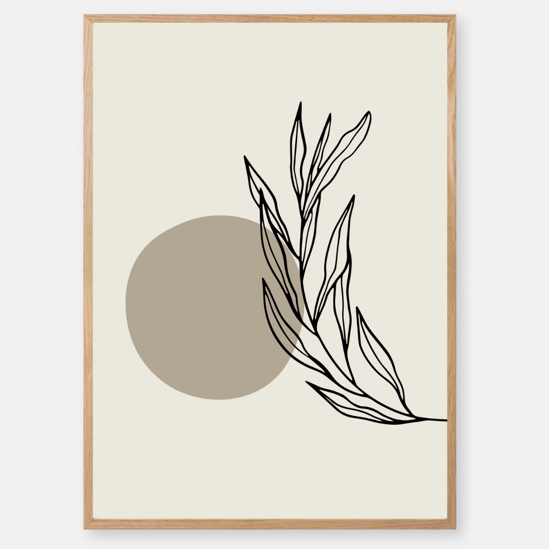 Pierre model photo set