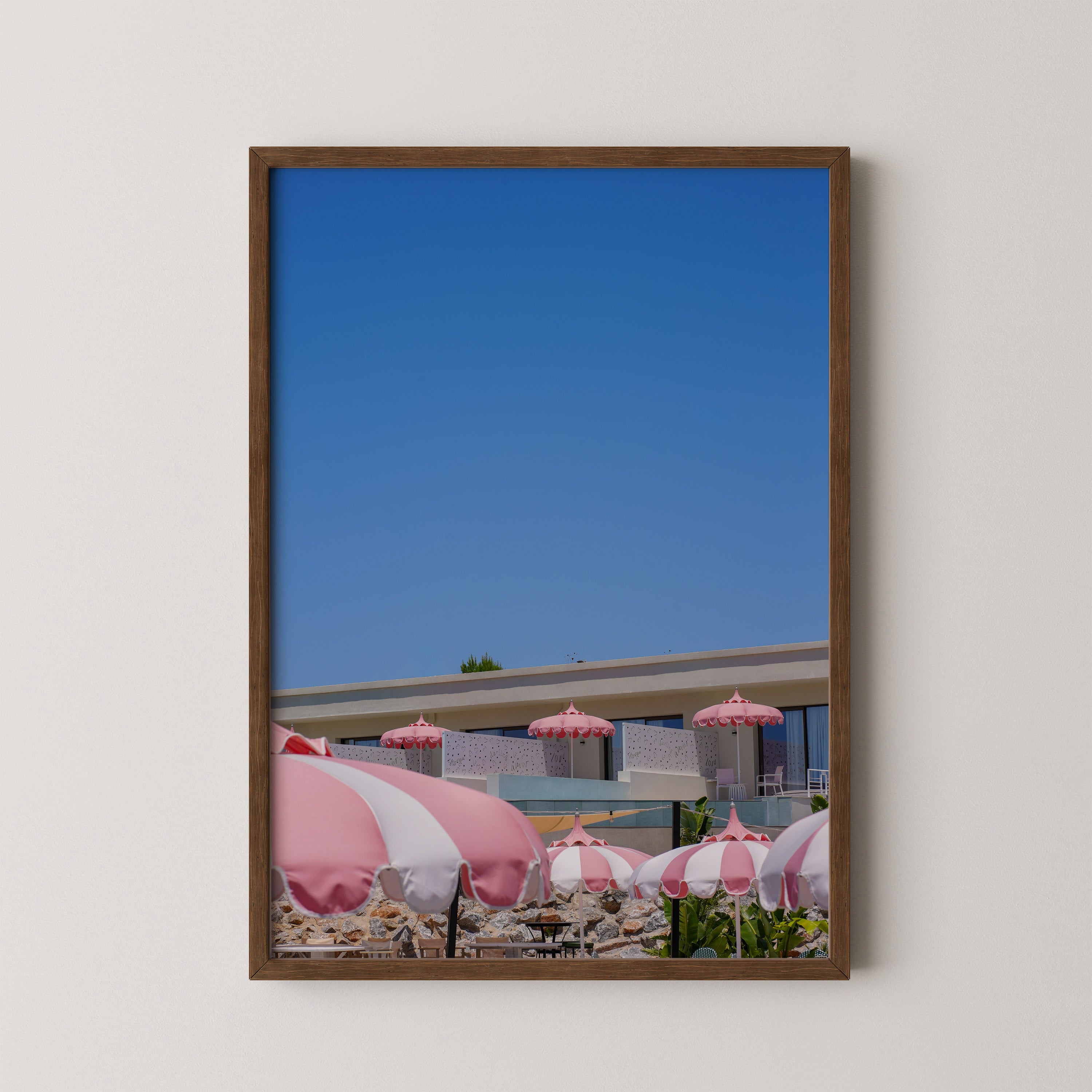 Pink Parasols | Danielle Barlot