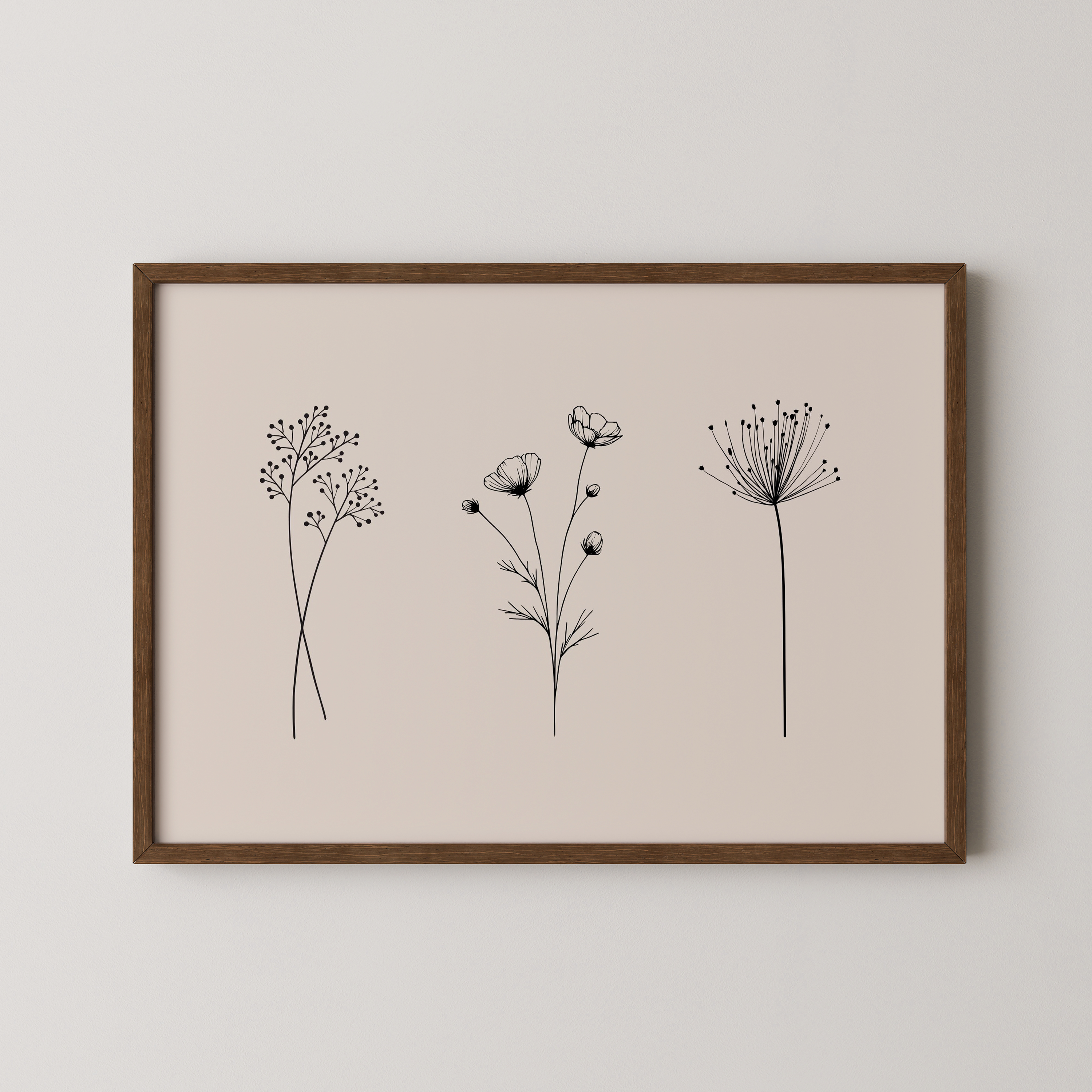 תמונה דגם קאלו