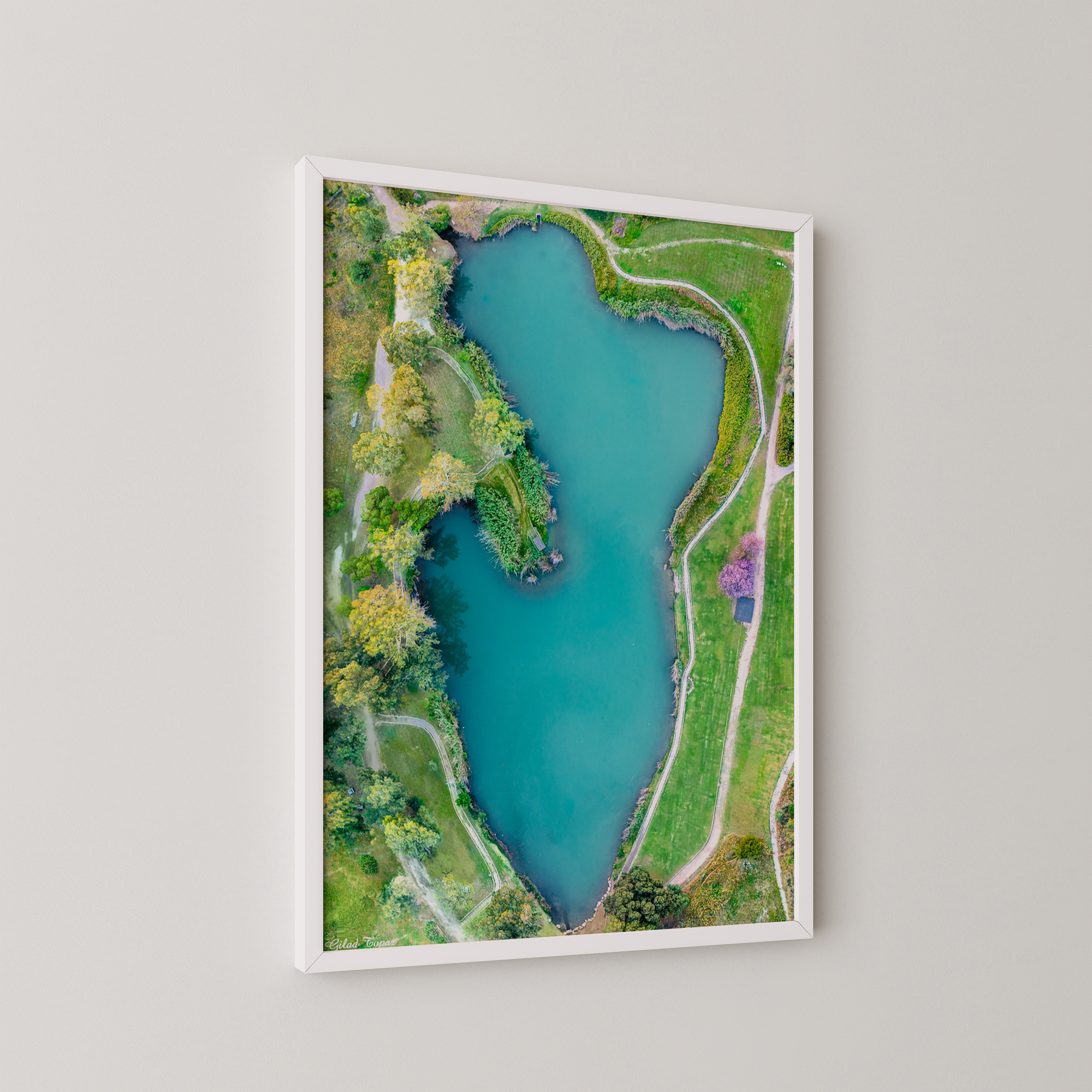 יצירה ממוסגרת של גלעד טופז בצילום אווירי של בריכת מים טורקיזית וצמחייה ירוקה במקורות הירקון בתל אפק, שבילים מתעגלים סביב המים