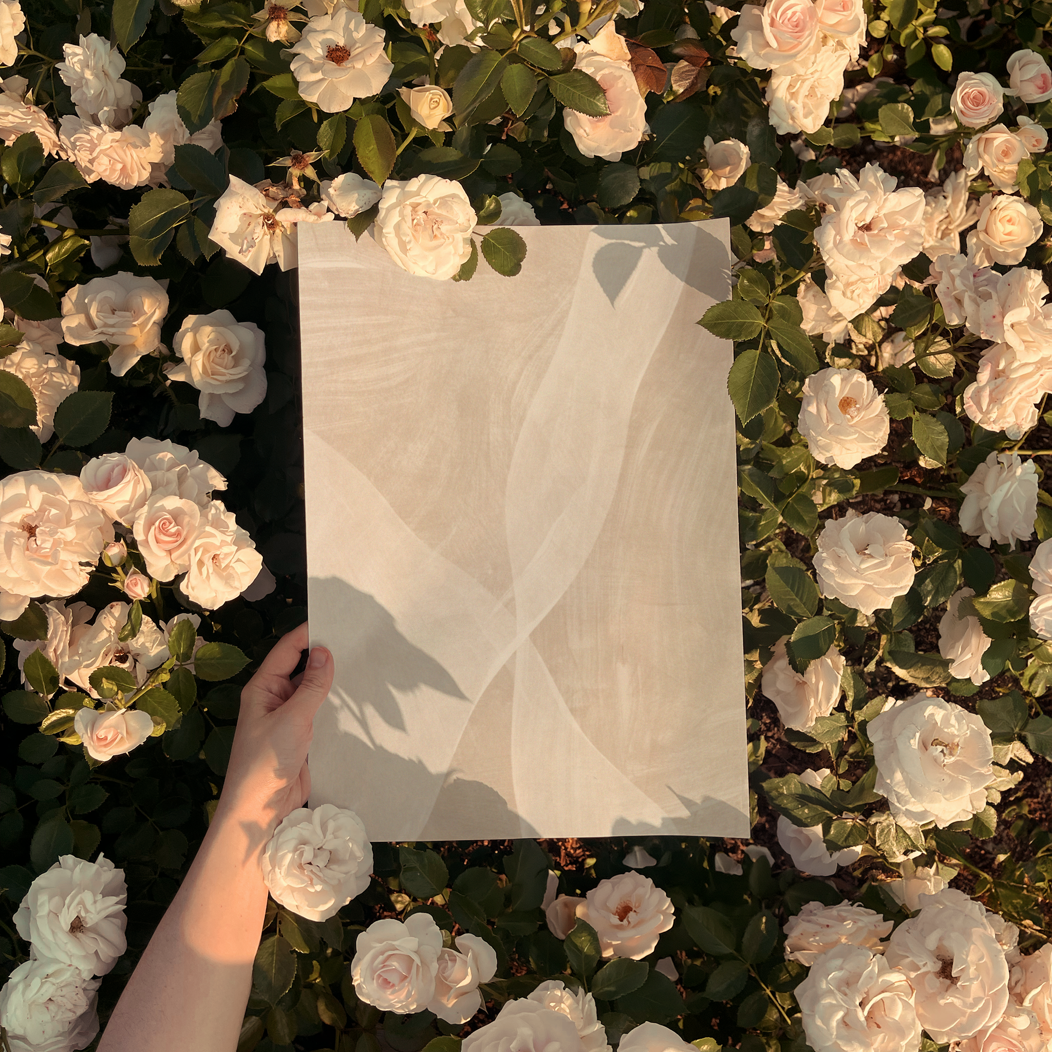 Rionis model print - frame not included