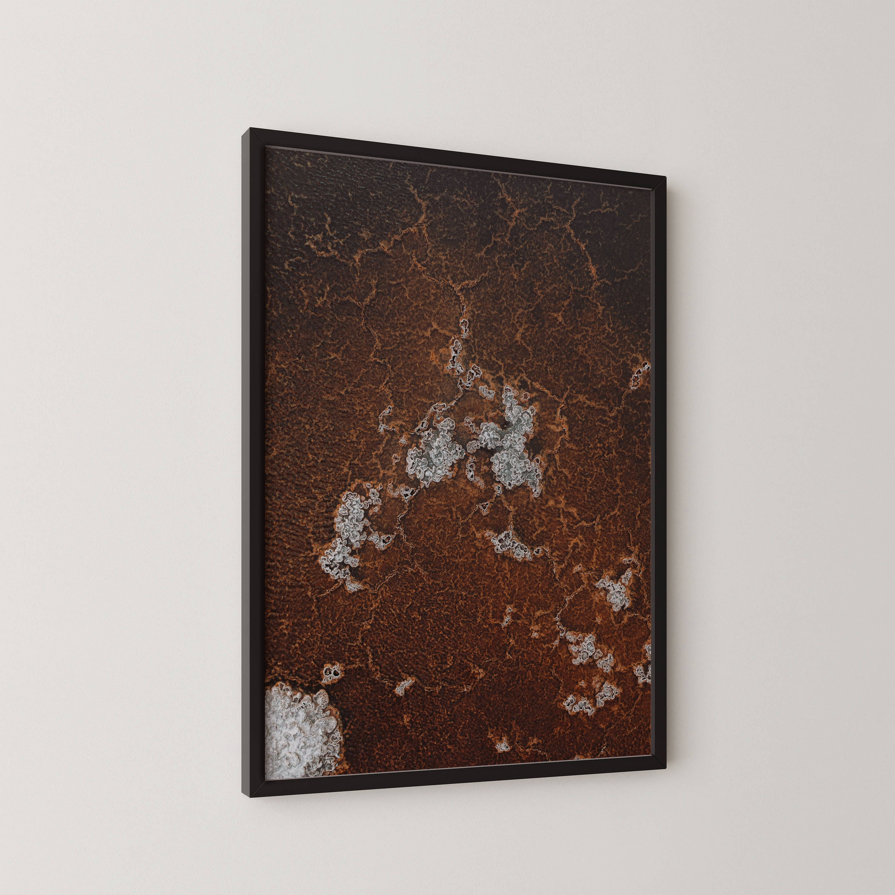 עורקים - צילום אוויר של שי אשכנזי