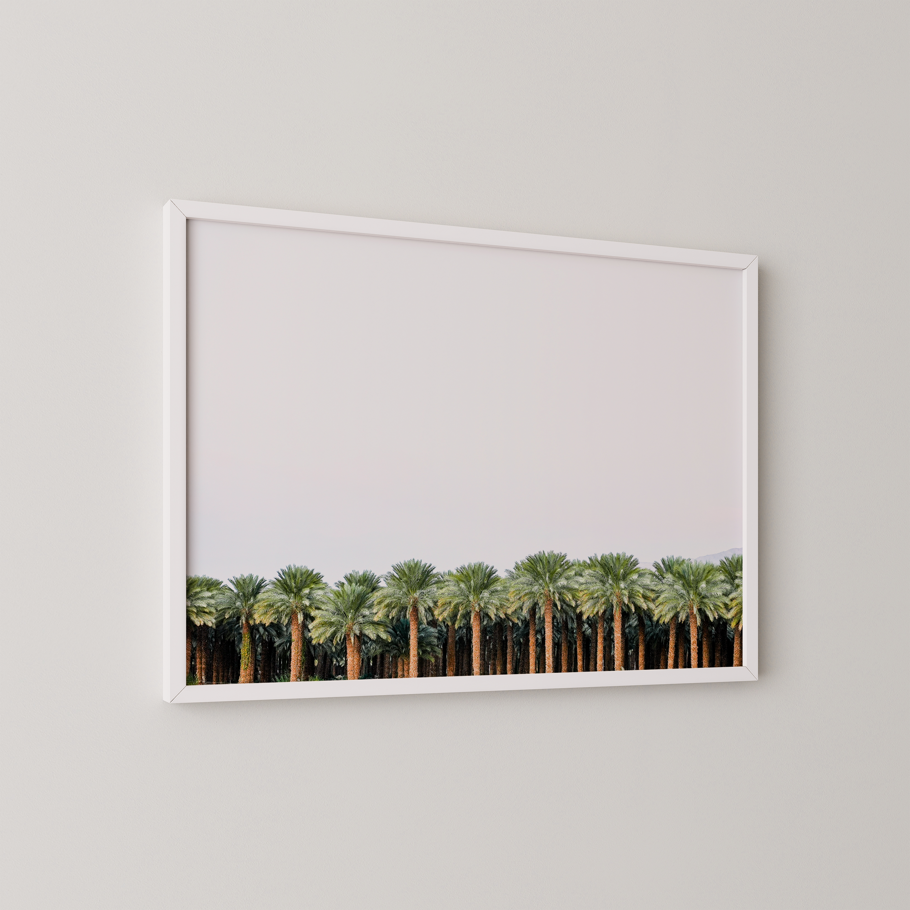 צילום של The left handed - דגם i-2 -The Palm Line