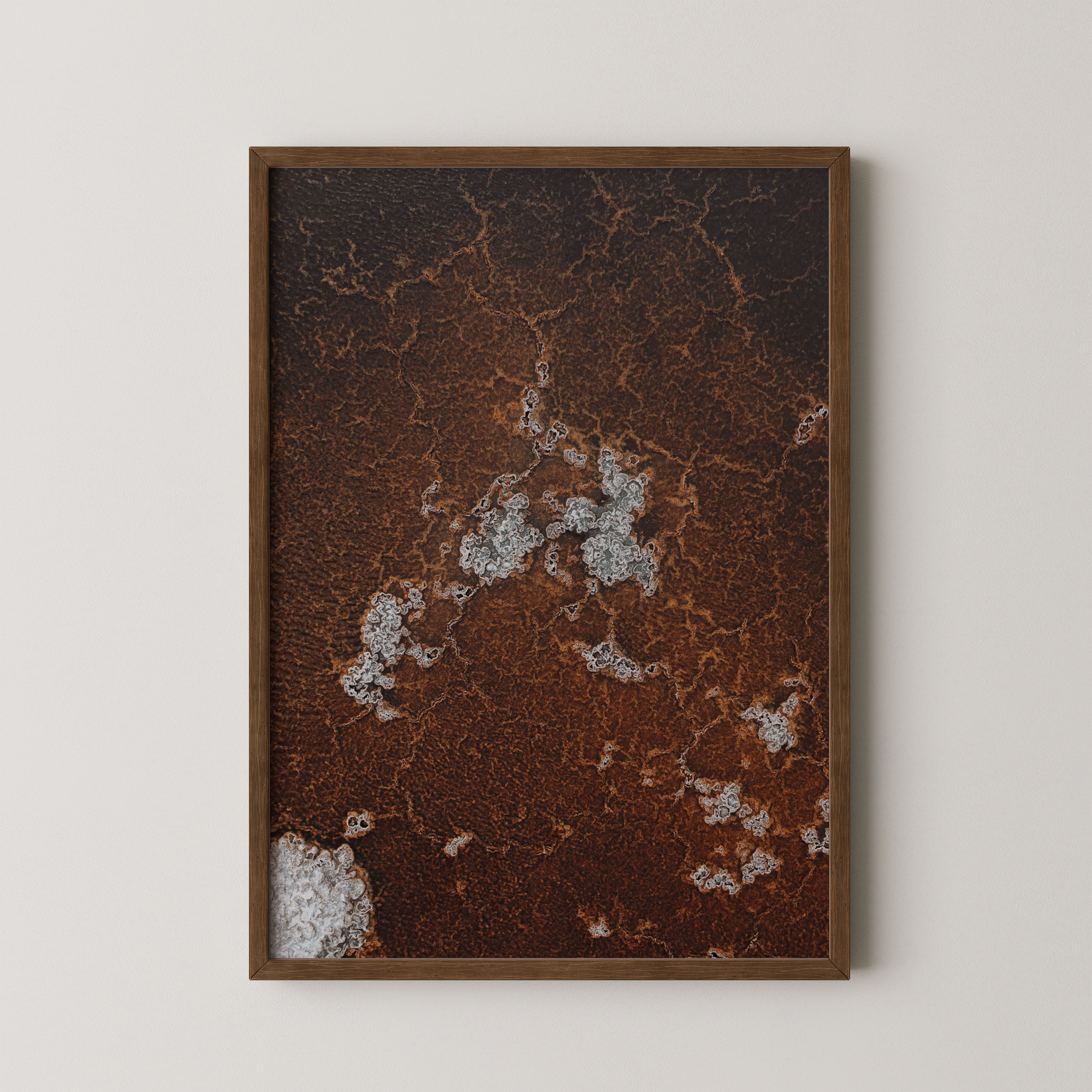 עורקים - צילום אוויר של שי אשכנזי