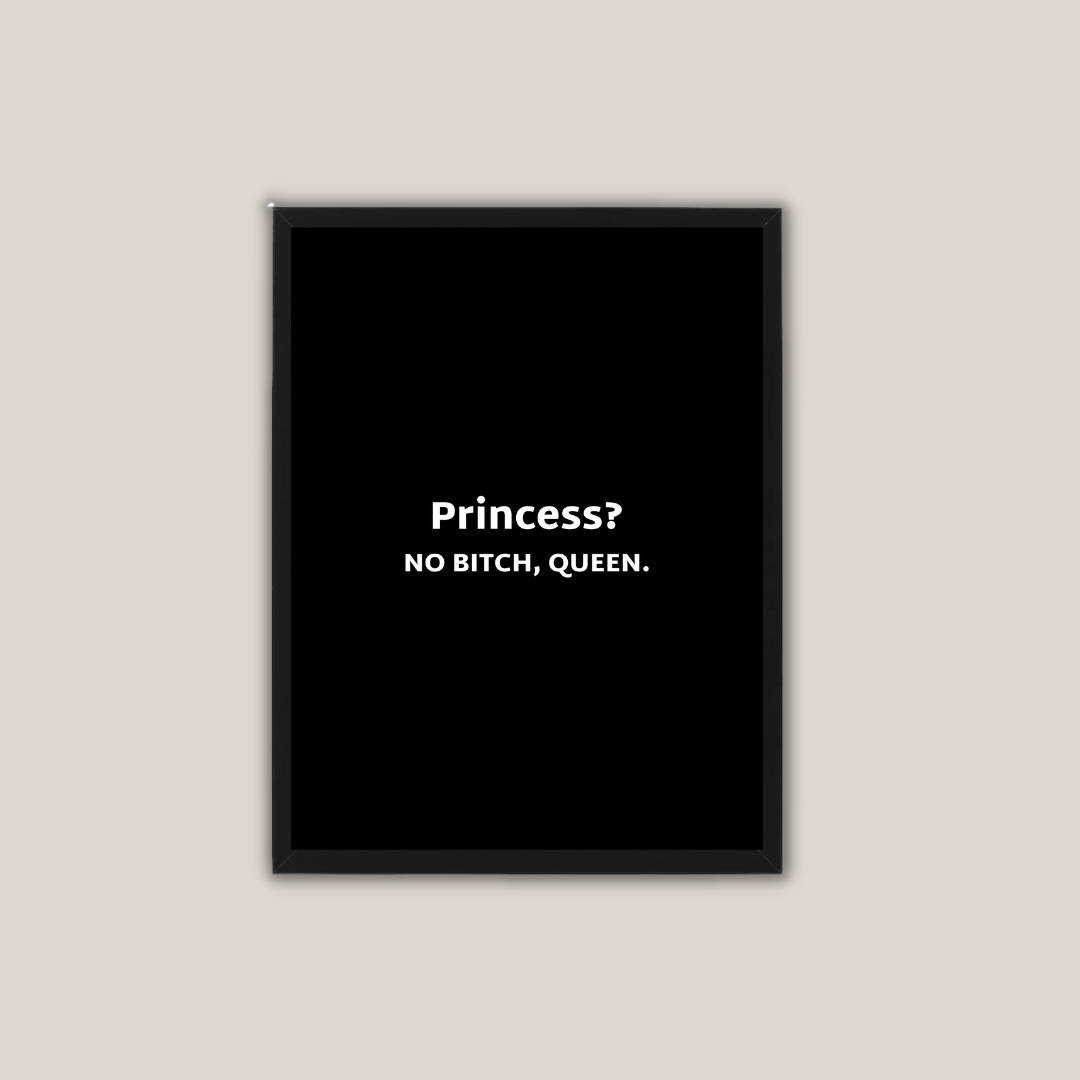 תמונה למשרד דגם פרינסס