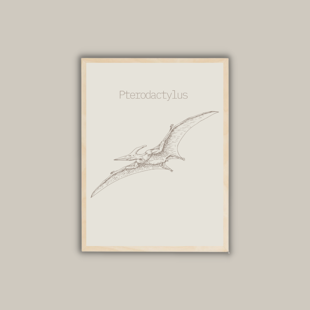 DINOSAUR SKETCH photo set for children's and babies' rooms