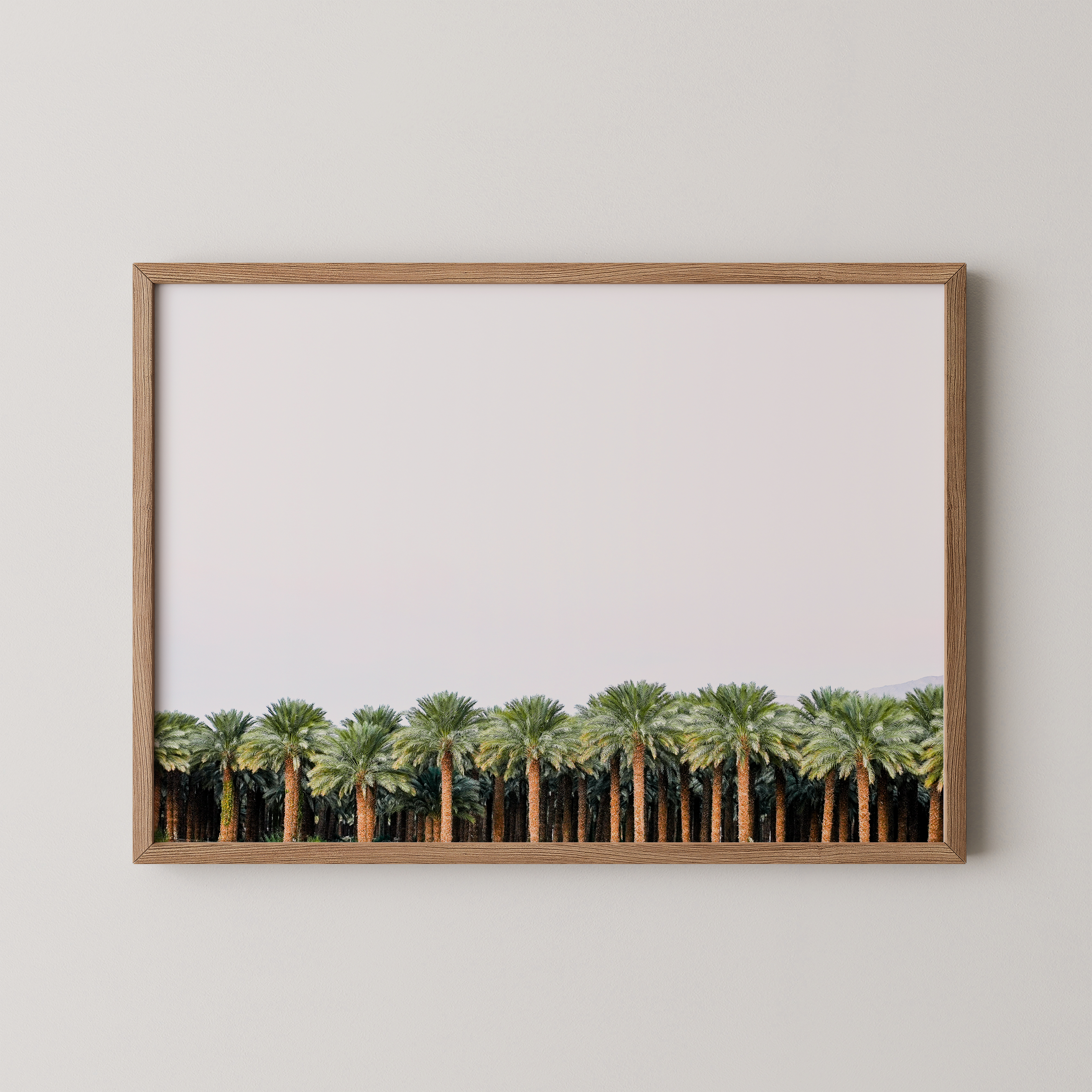 צילום של The left handed - דגם i-2 -The Palm Line