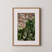 Sunlit Cactus – צילום אמנותי של צבר ים־תיכוני לצד קיר אבן טבעית, מאת דניאל ברלוט.