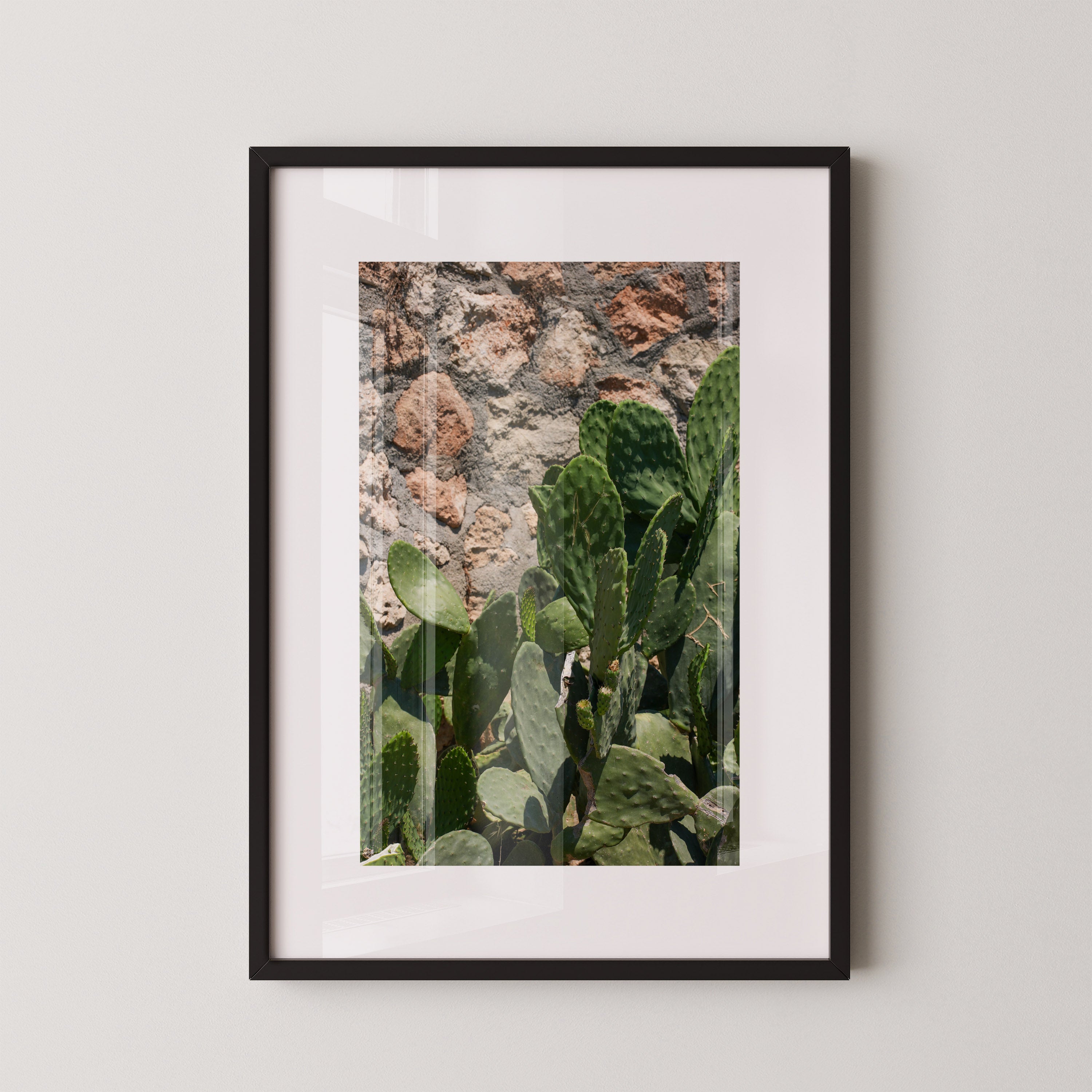 Sunlit Cactus – צילום אמנותי של צבר ים־תיכוני לצד קיר אבן טבעית, מאת דניאל ברלוט.