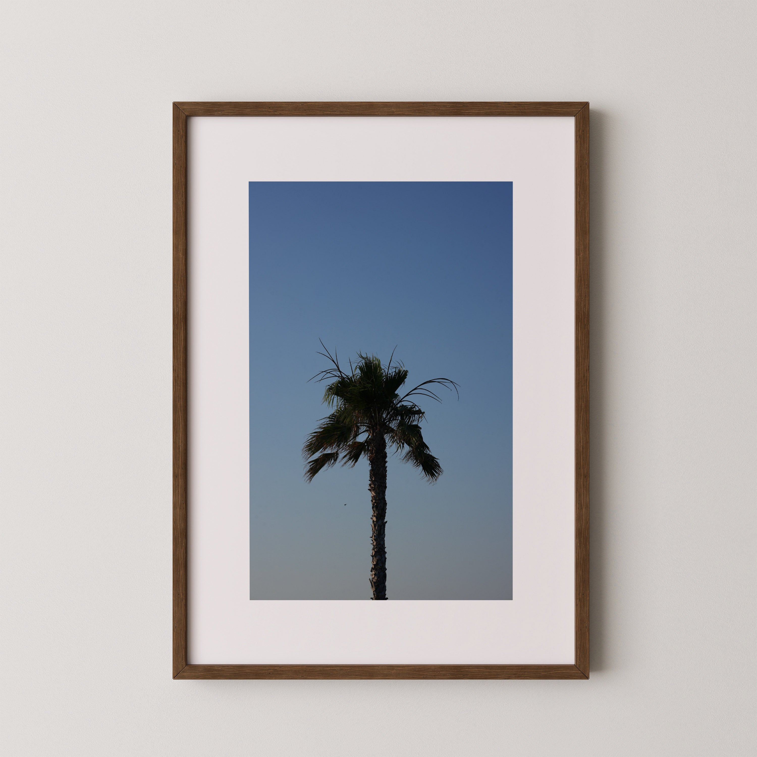 The Blue Hour| Daniel Barlot
