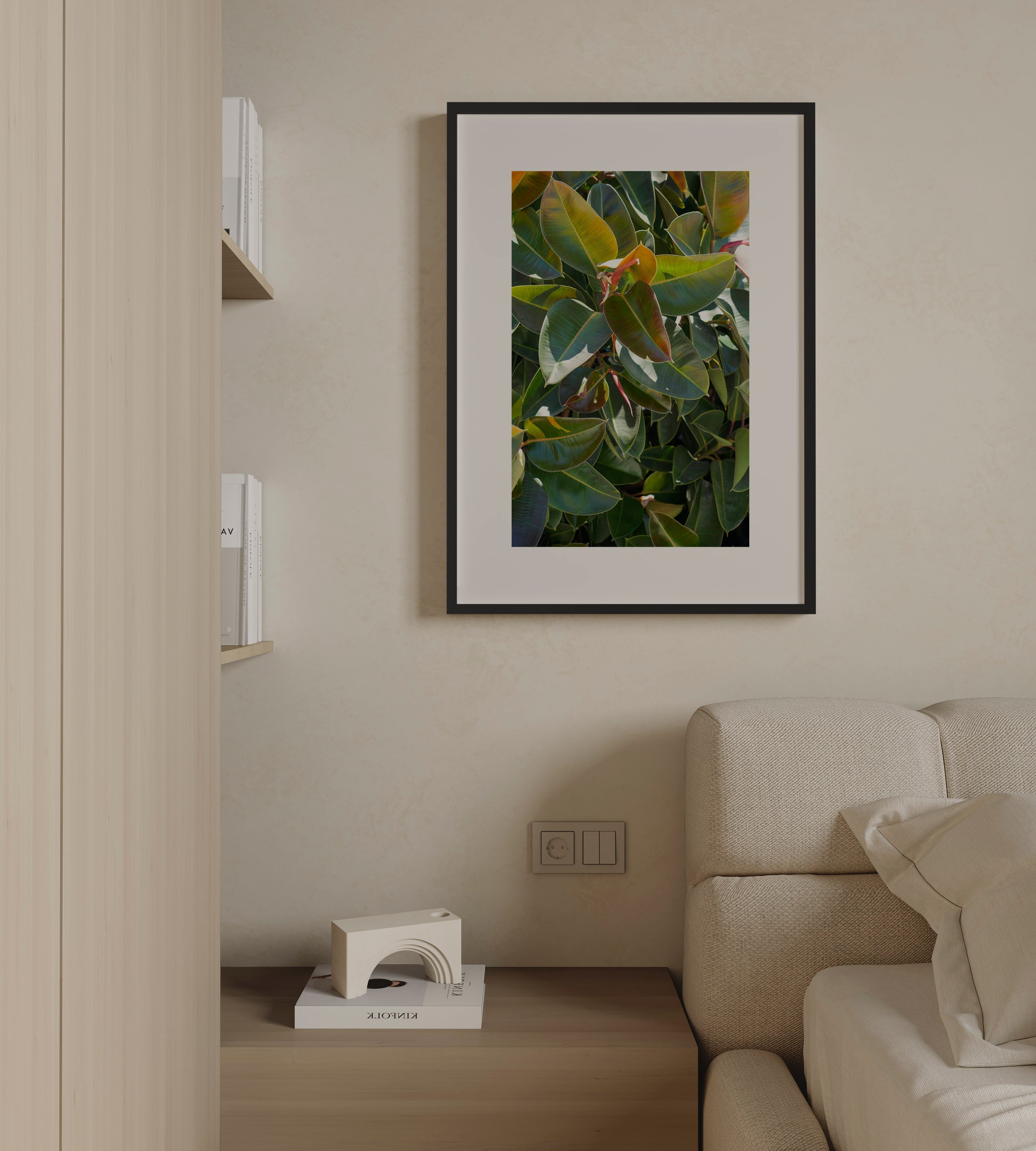 Emerald Ficus | Daniel Barlot