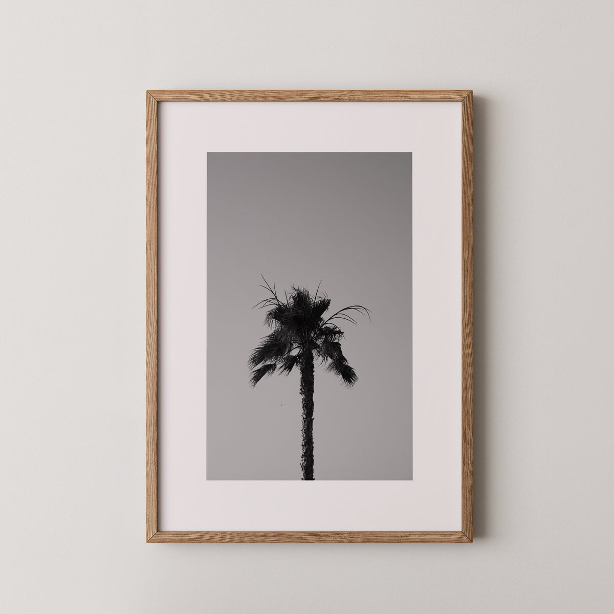 Monochrome Palm| Daniel Barlot