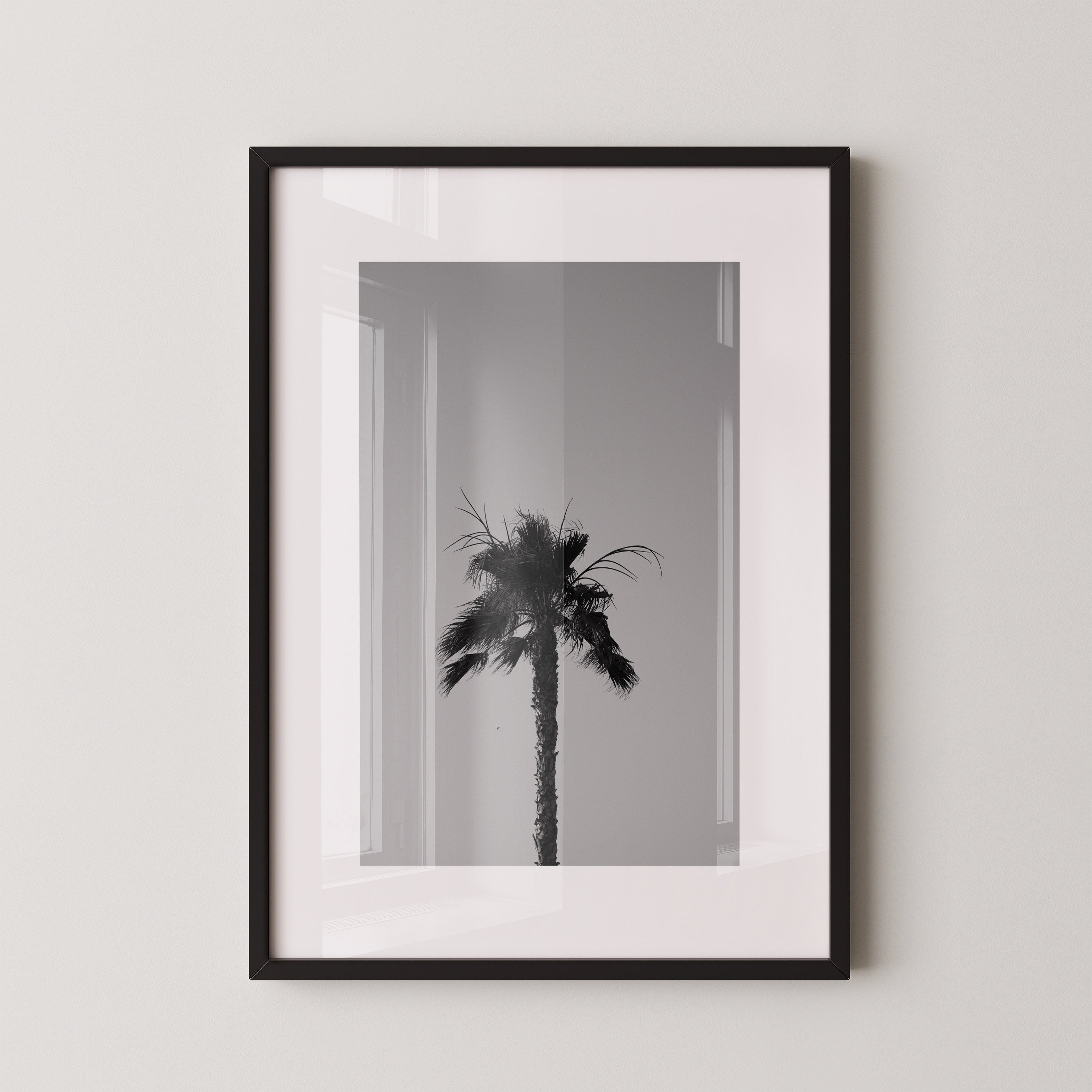 Monochrome Palm| Daniel Barlot