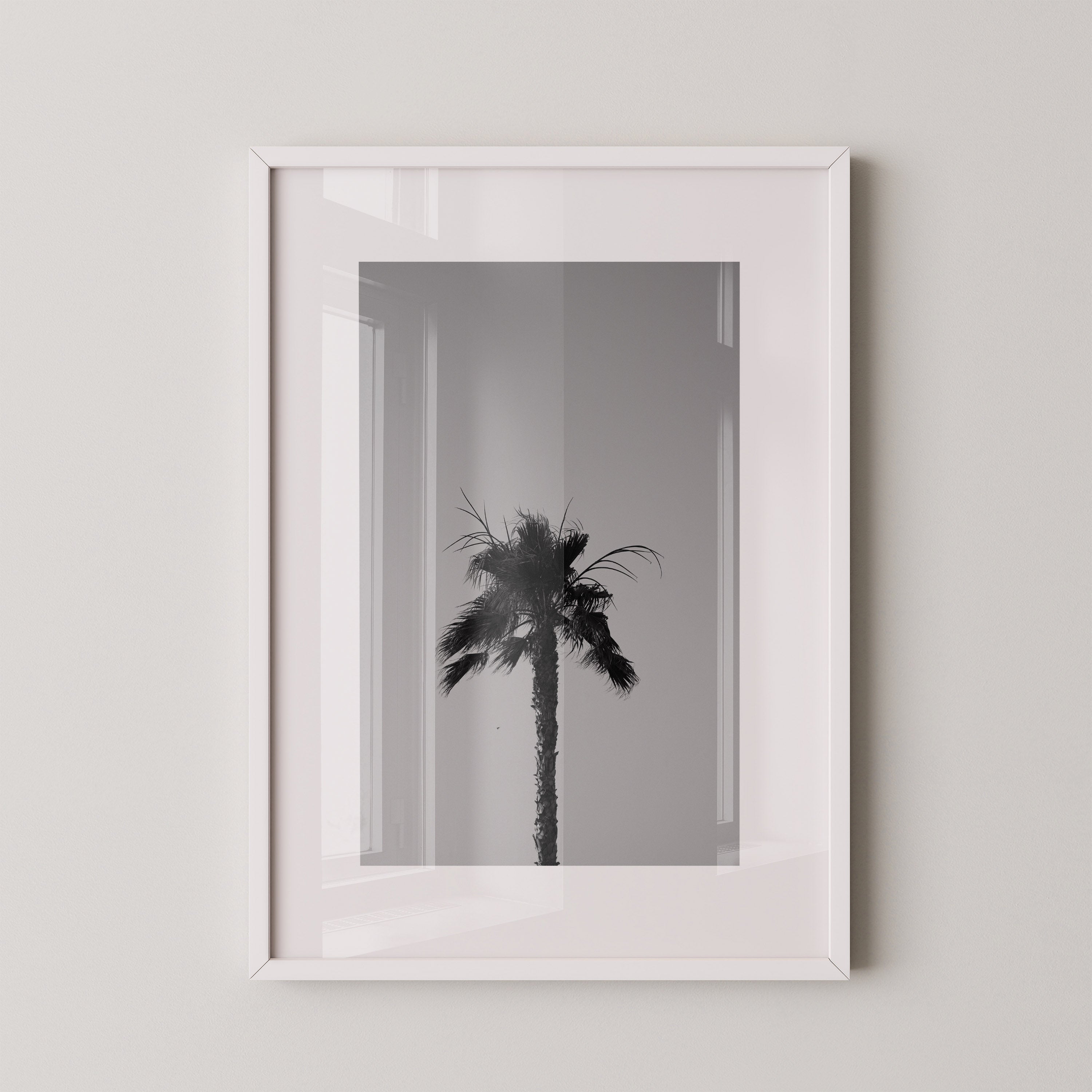 Monochrome Palm| Daniel Barlot