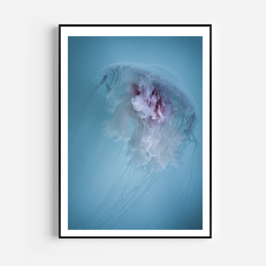 תמונה דגם  Art 088