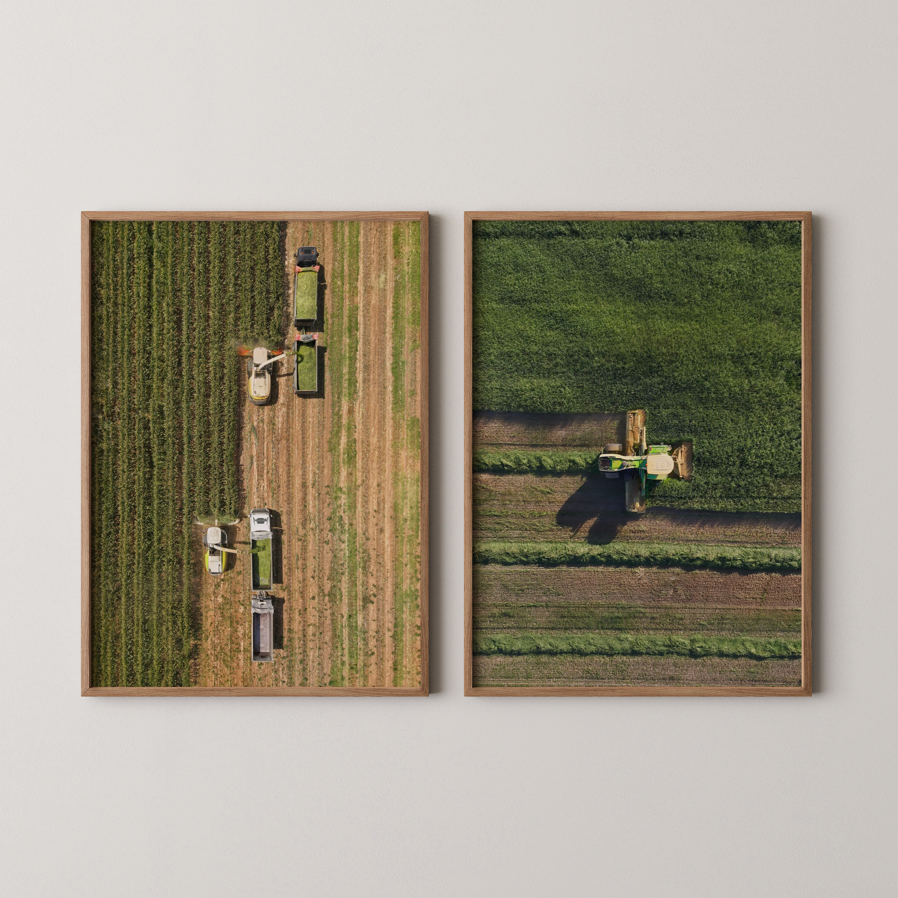 סט צילומים ממוסגרים של שדות חקלאיים בזמן קציר, מבט אווירי על תלמים ירוקים ומכונות קציר, צילום מאת חן כליפה לוי