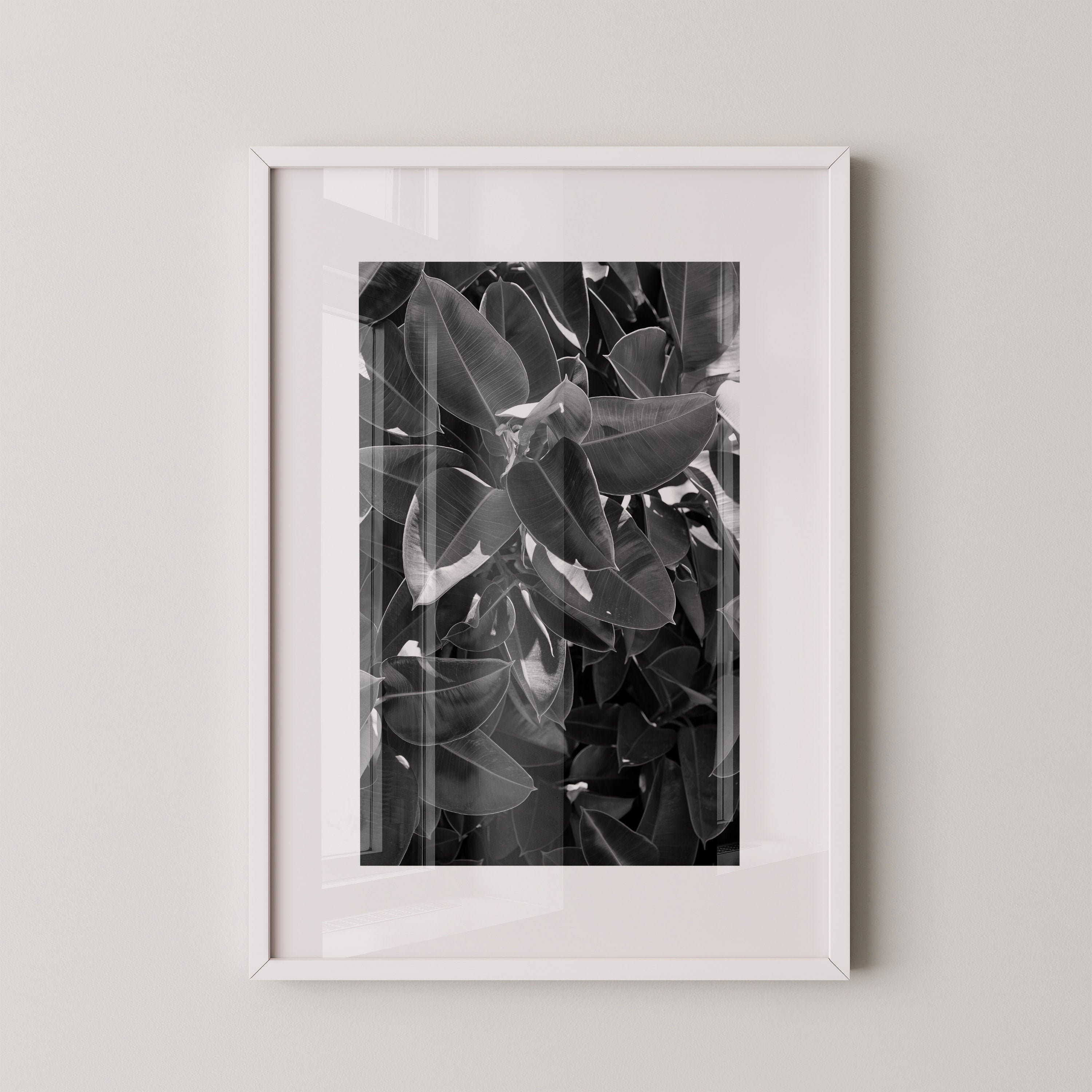 Veil of Leaves | Daniel Barlot