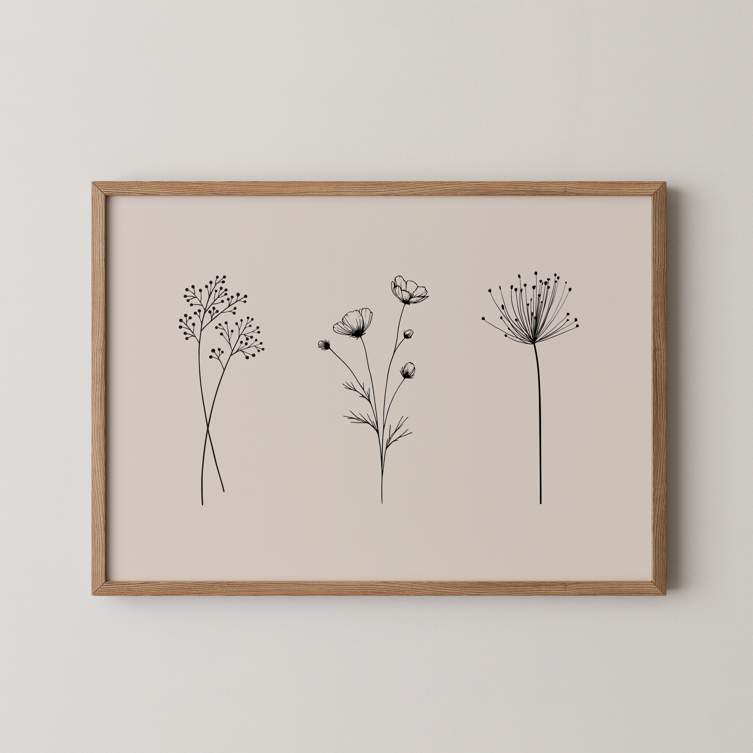 תמונה דגם קאלו