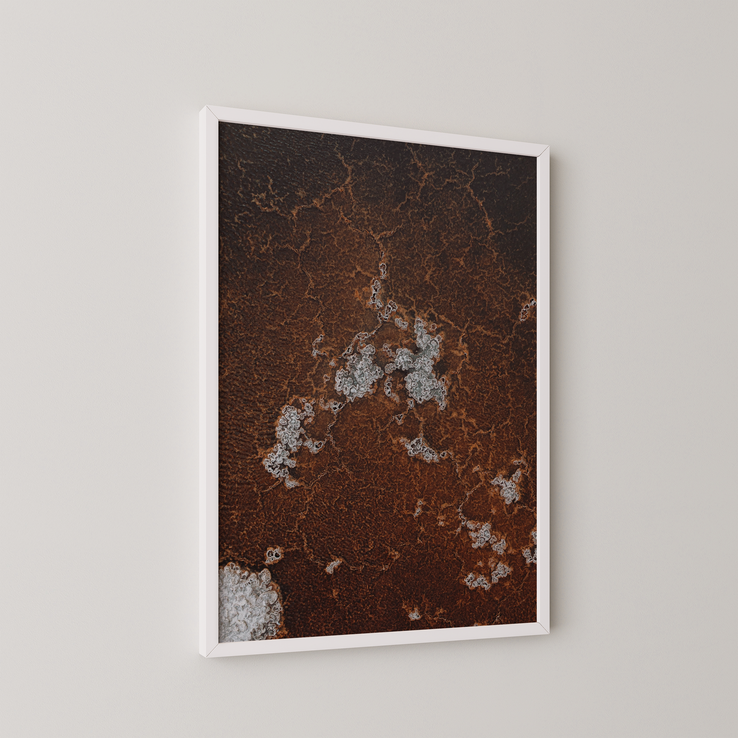 עורקים - צילום אוויר של שי אשכנזי