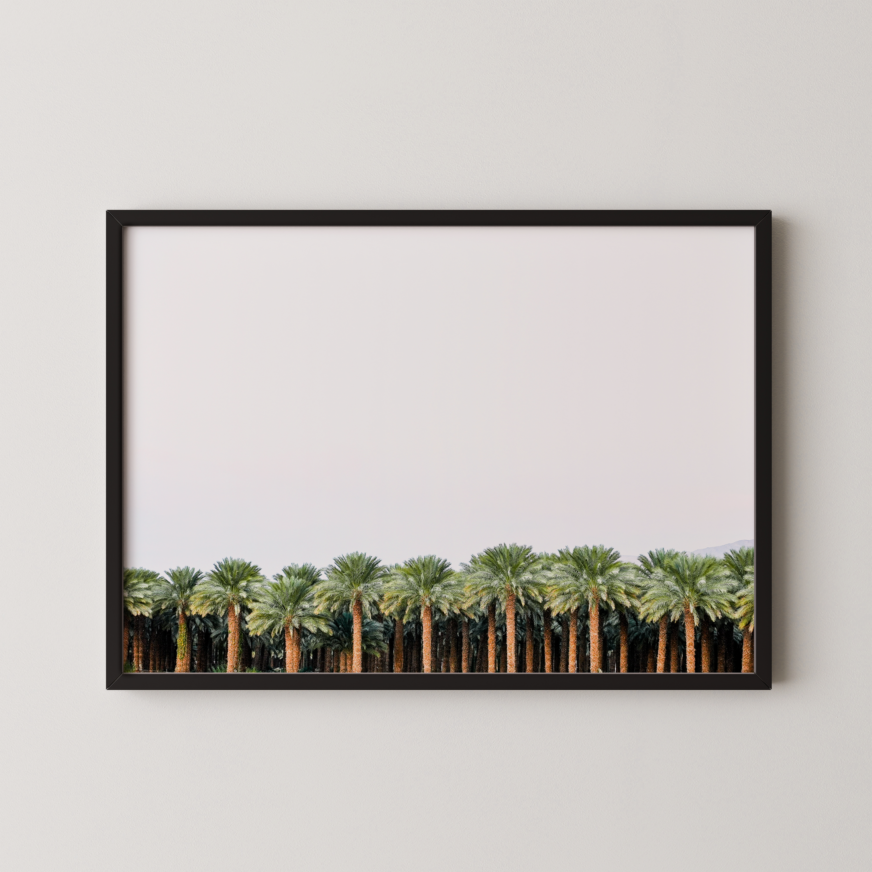 צילום של The left handed - דגם i-2 -The Palm Line