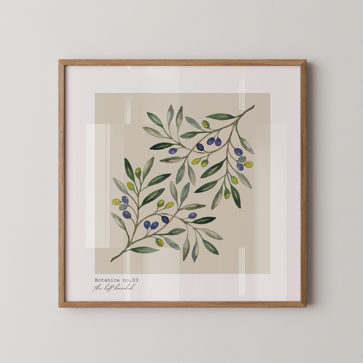 Botany Model .03