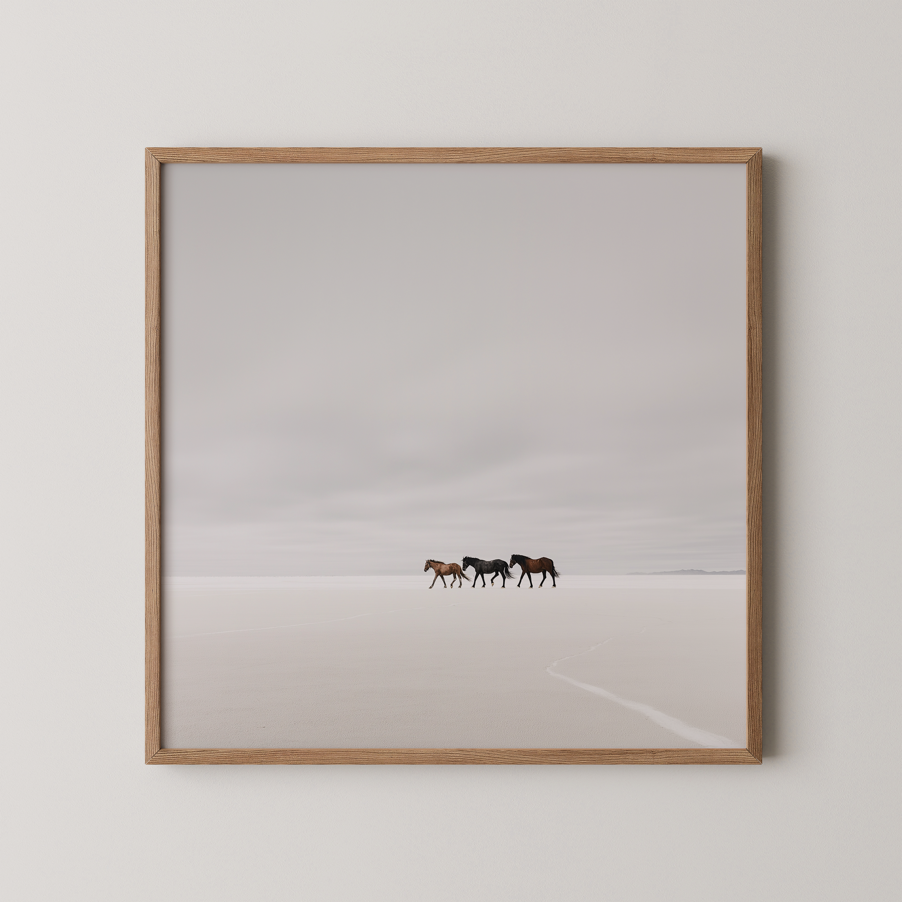 איור דיגיטלי מינימליסטי של שלושה סוסים הפוסעים יחד במרחב פתוח בגווני אפור רכים