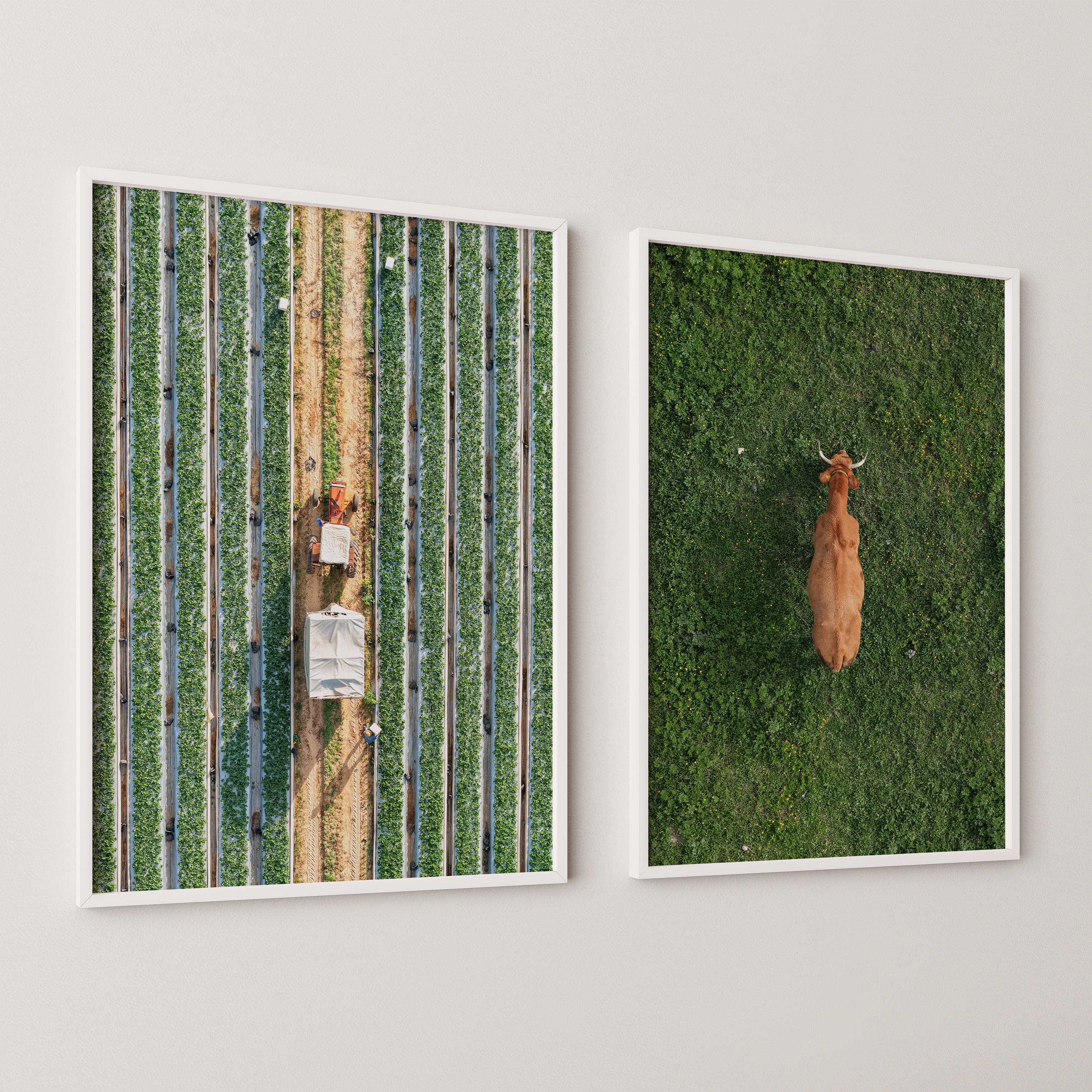 Salt and Steel — Aerial Photography by Shai Ashkenazi 